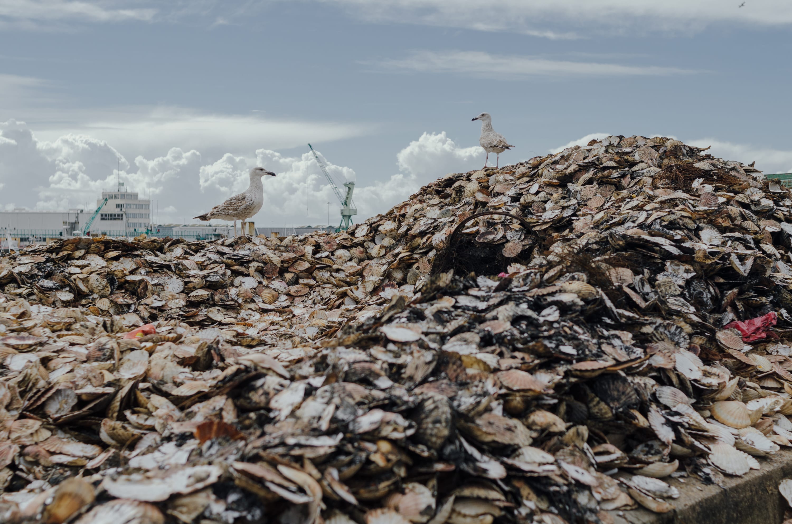 Фото 8 из альбома Le Havre & Etretat 2023