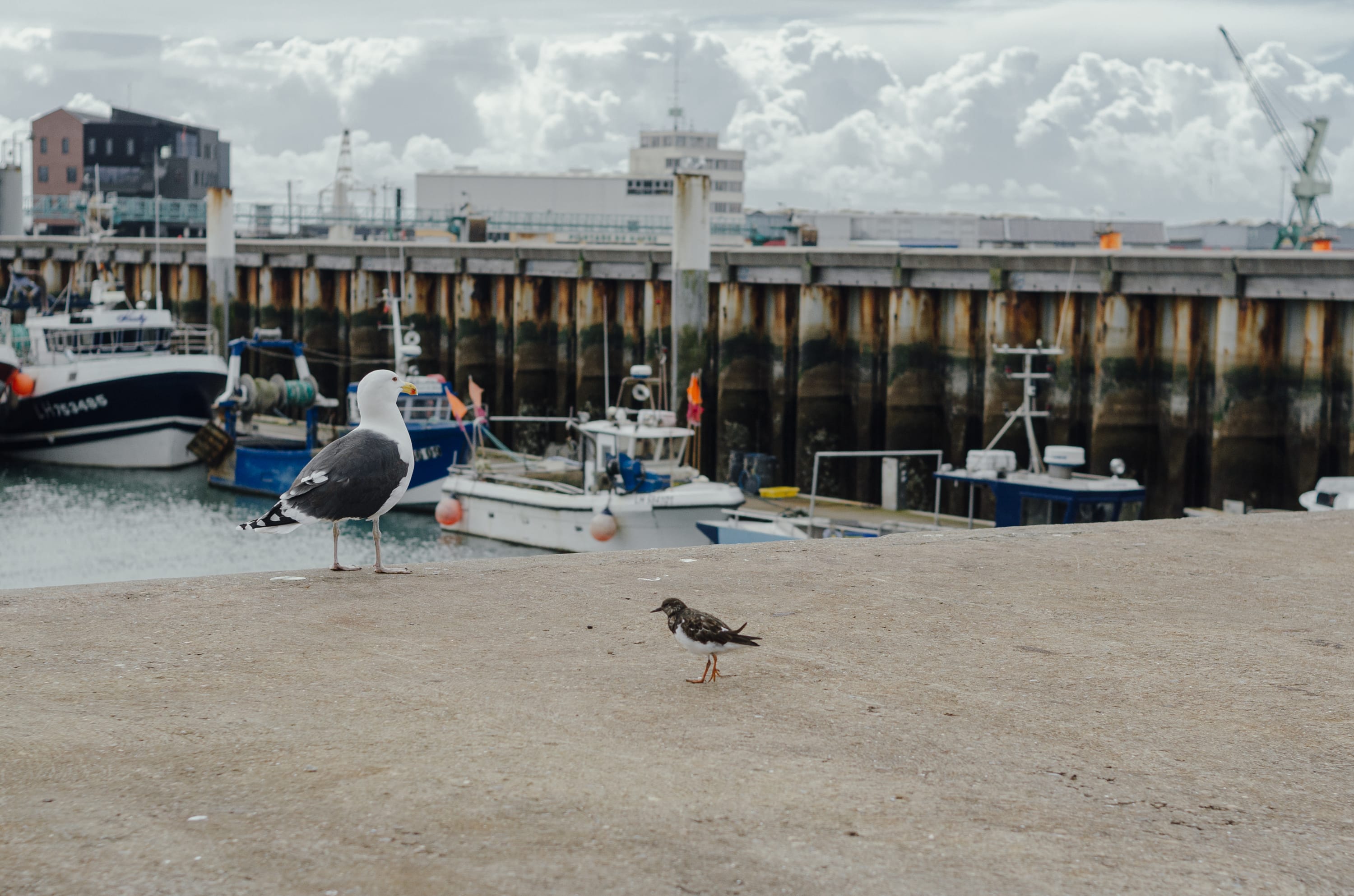 Превью Le Havre & Etretat 2023
