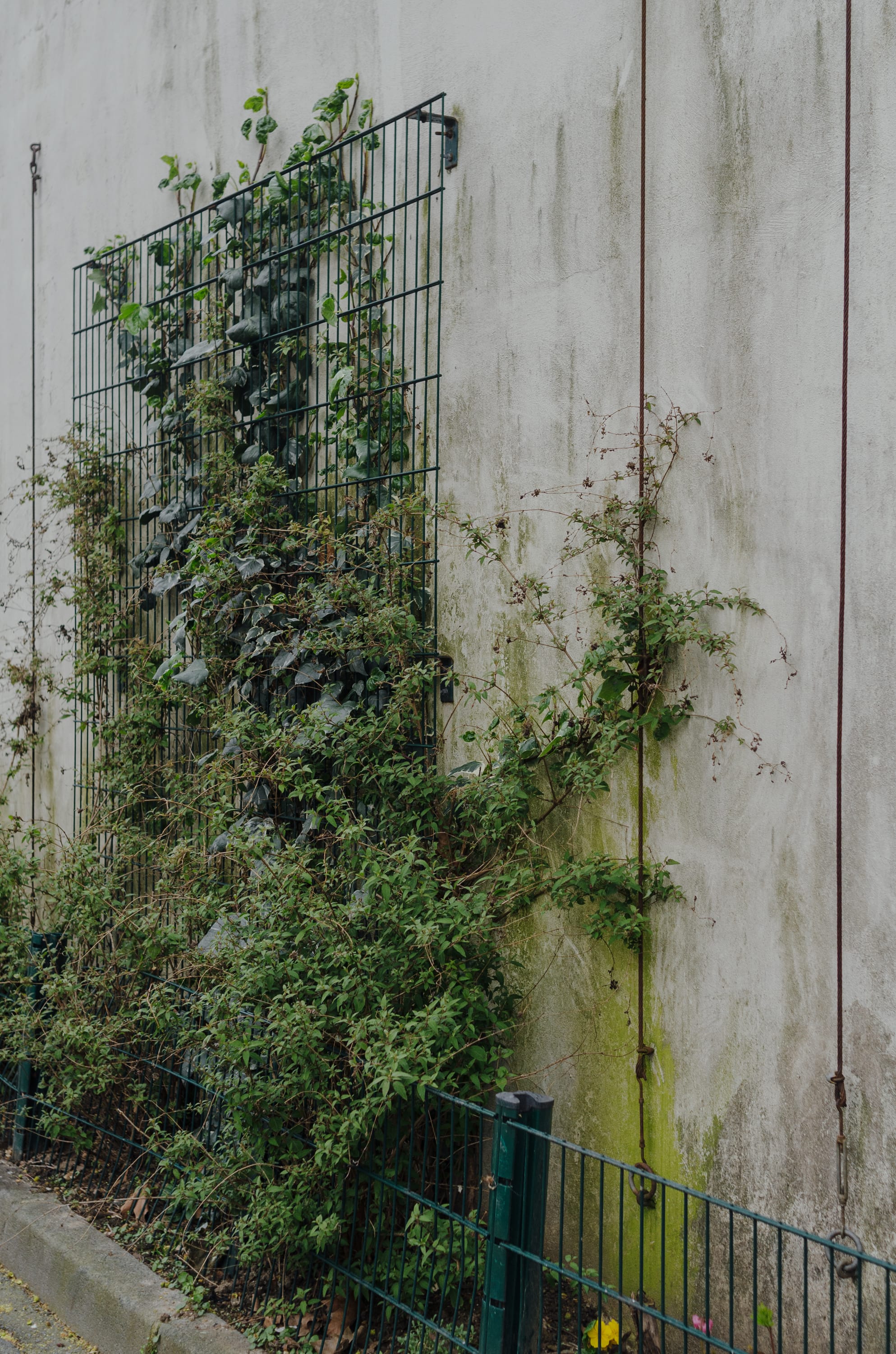 Фото 41 из альбома Le Havre & Etretat 2023