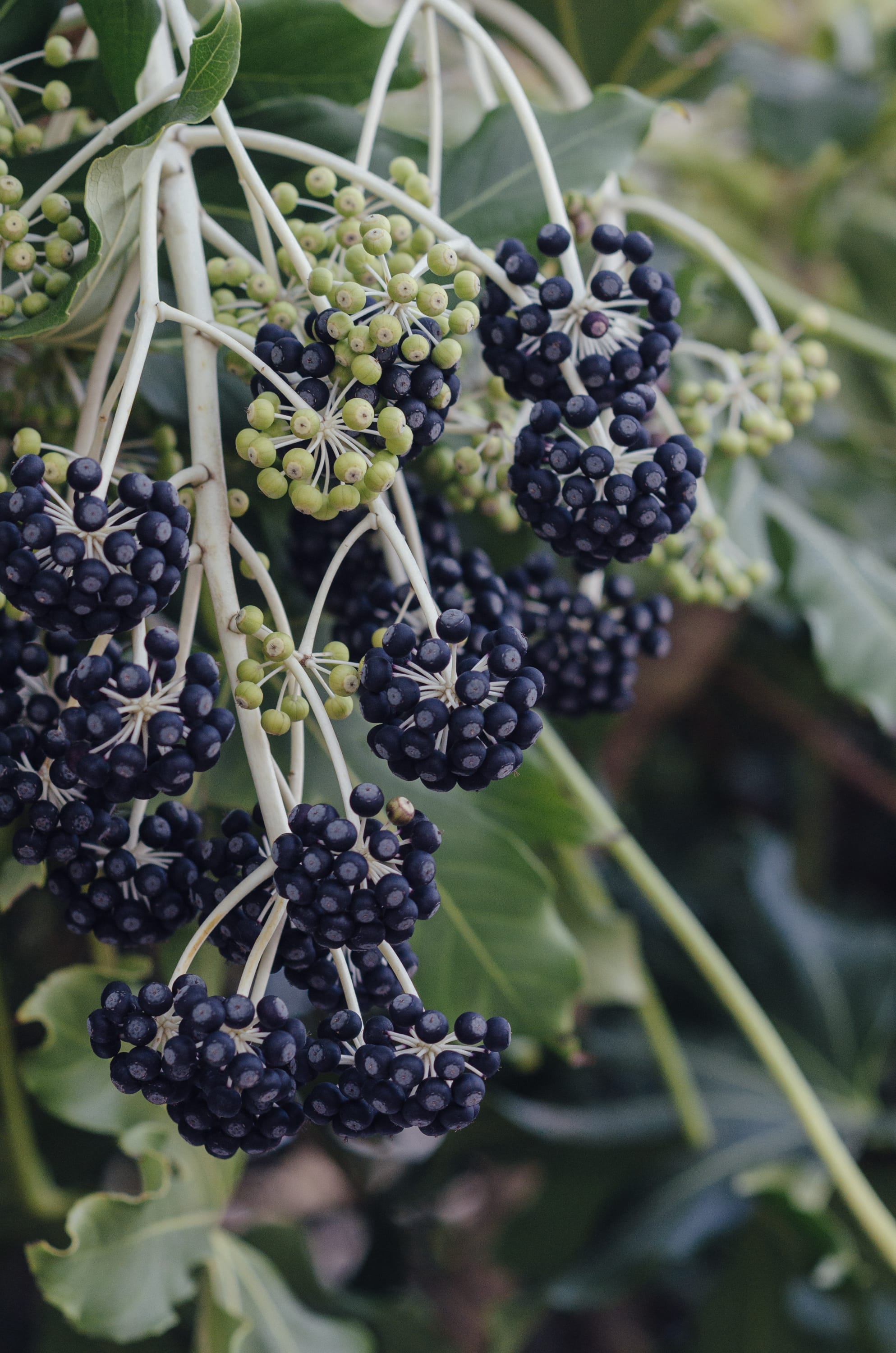 Фото 79 из альбома Le Havre & Etretat 2023