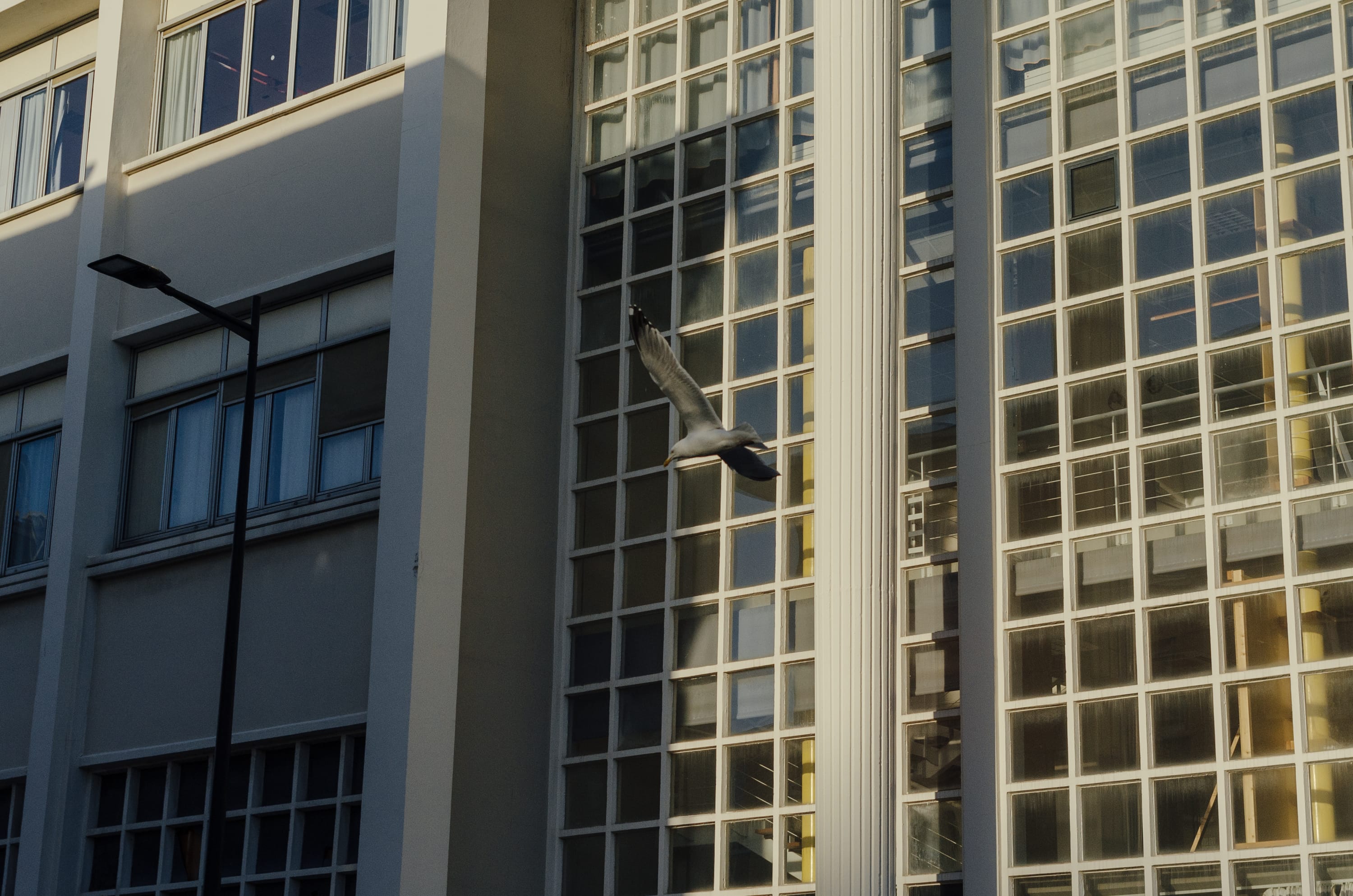 Фото 80 из альбома Le Havre & Etretat 2023