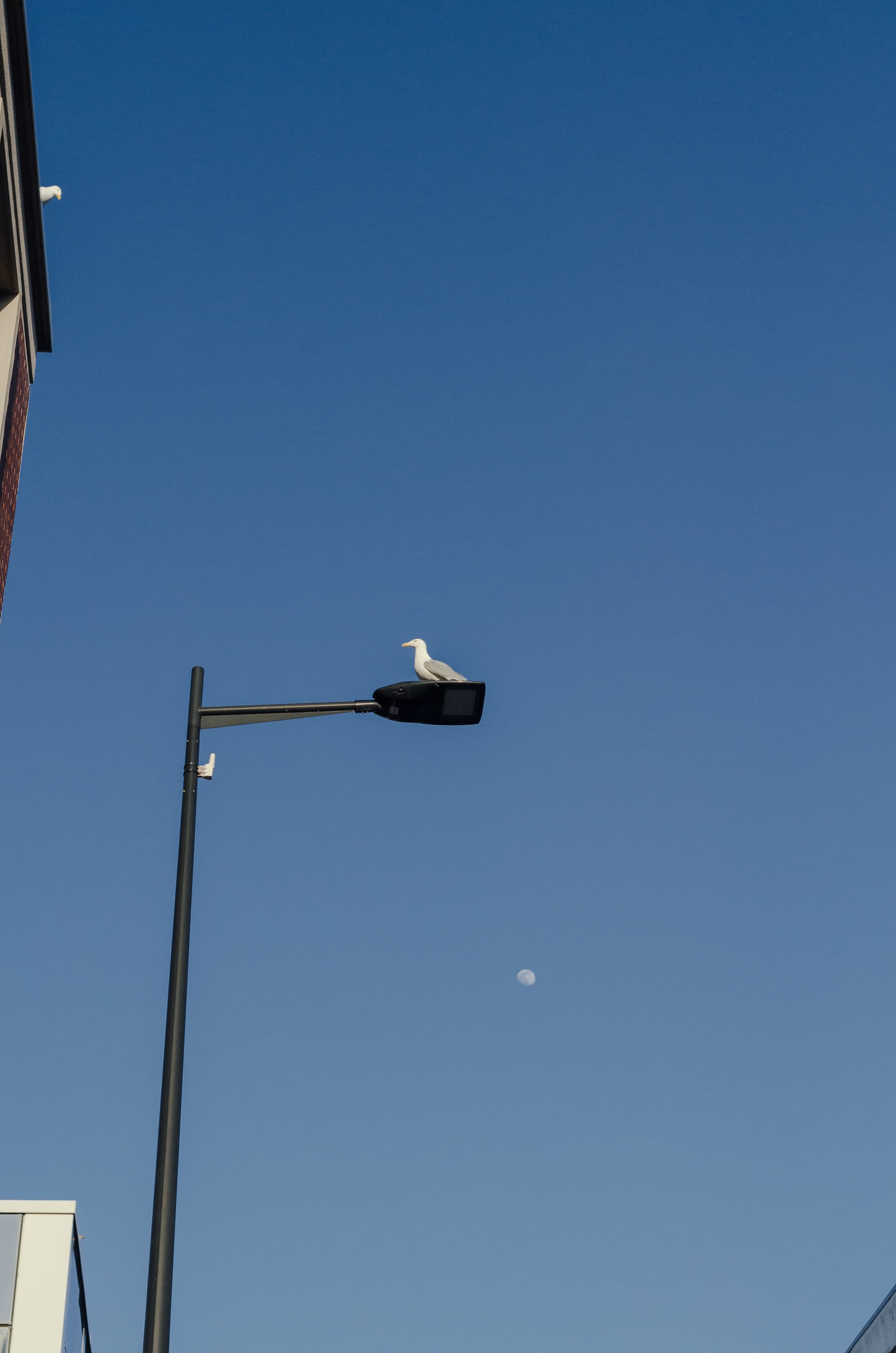 Фото 89 из альбома Le Havre & Etretat 2023