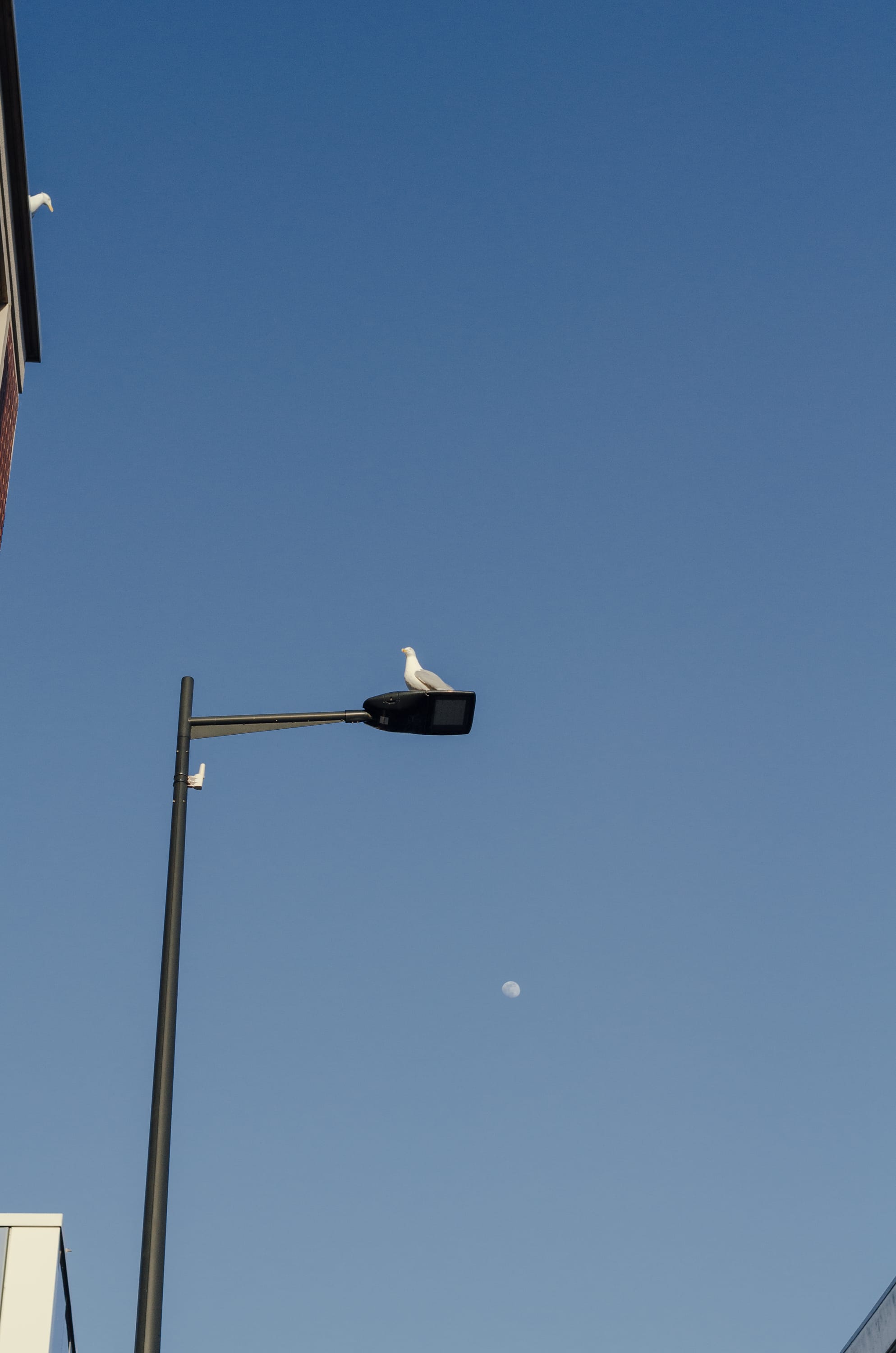 Фото 90 из альбома Le Havre & Etretat 2023