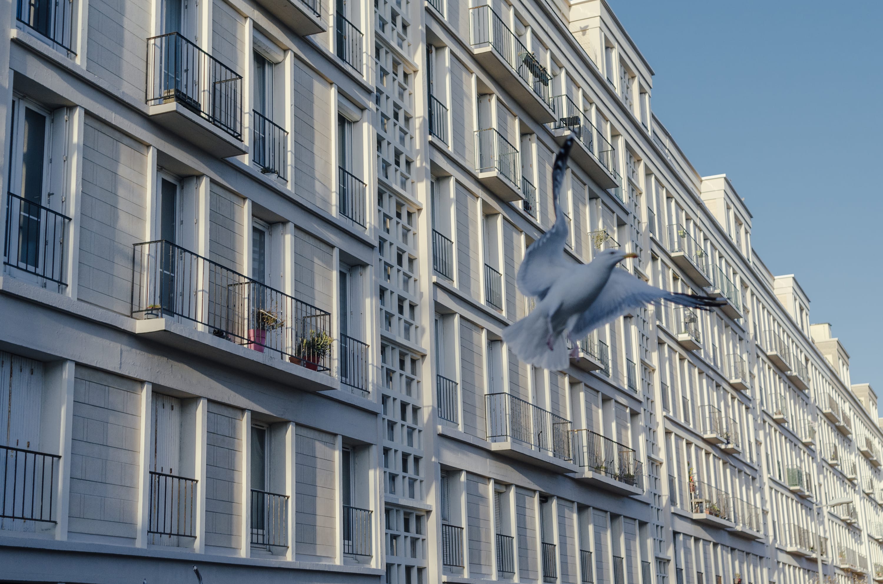 Фото 98 из альбома Le Havre & Etretat 2023