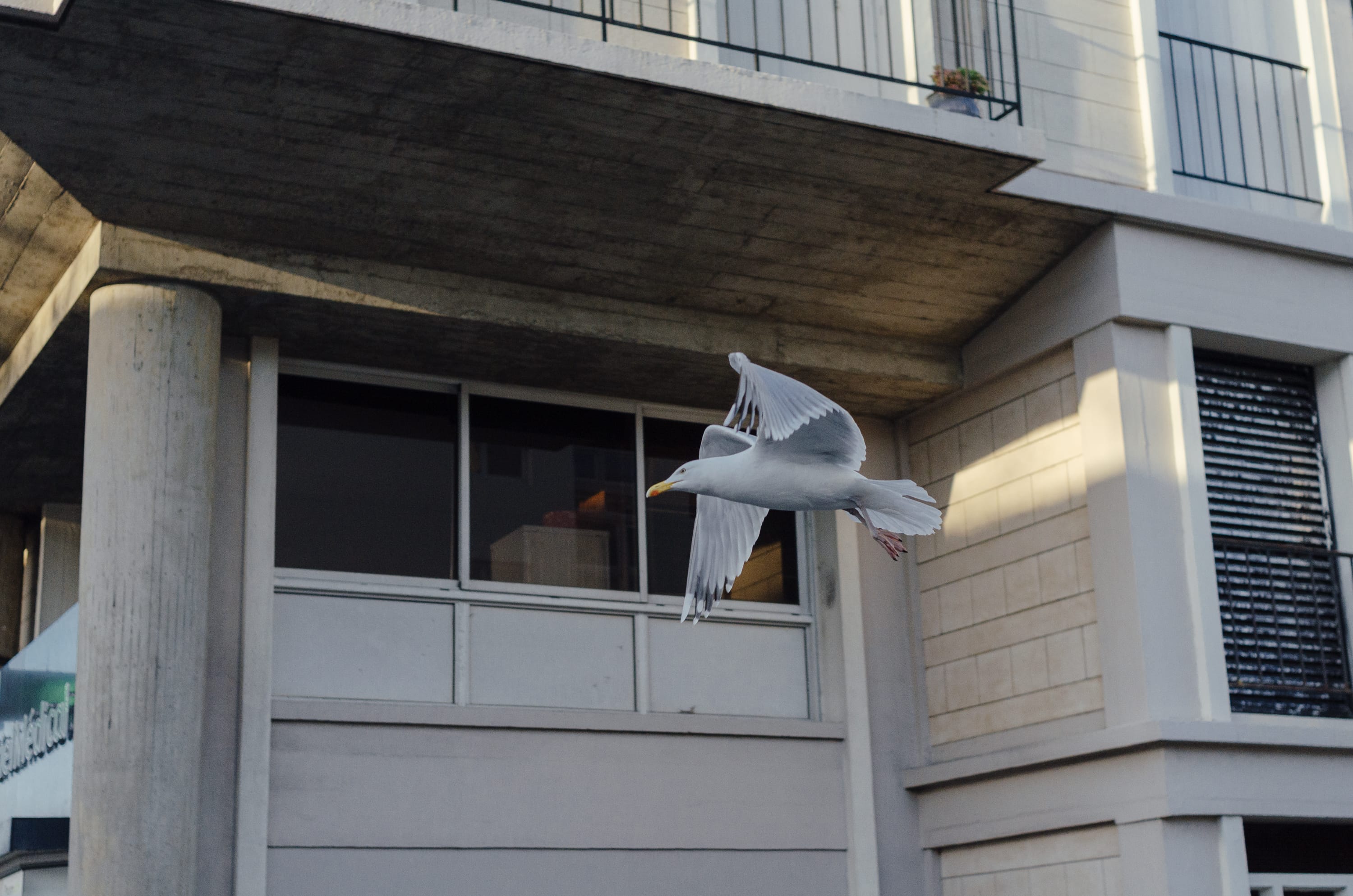 Фото 99 из альбома Le Havre & Etretat 2023