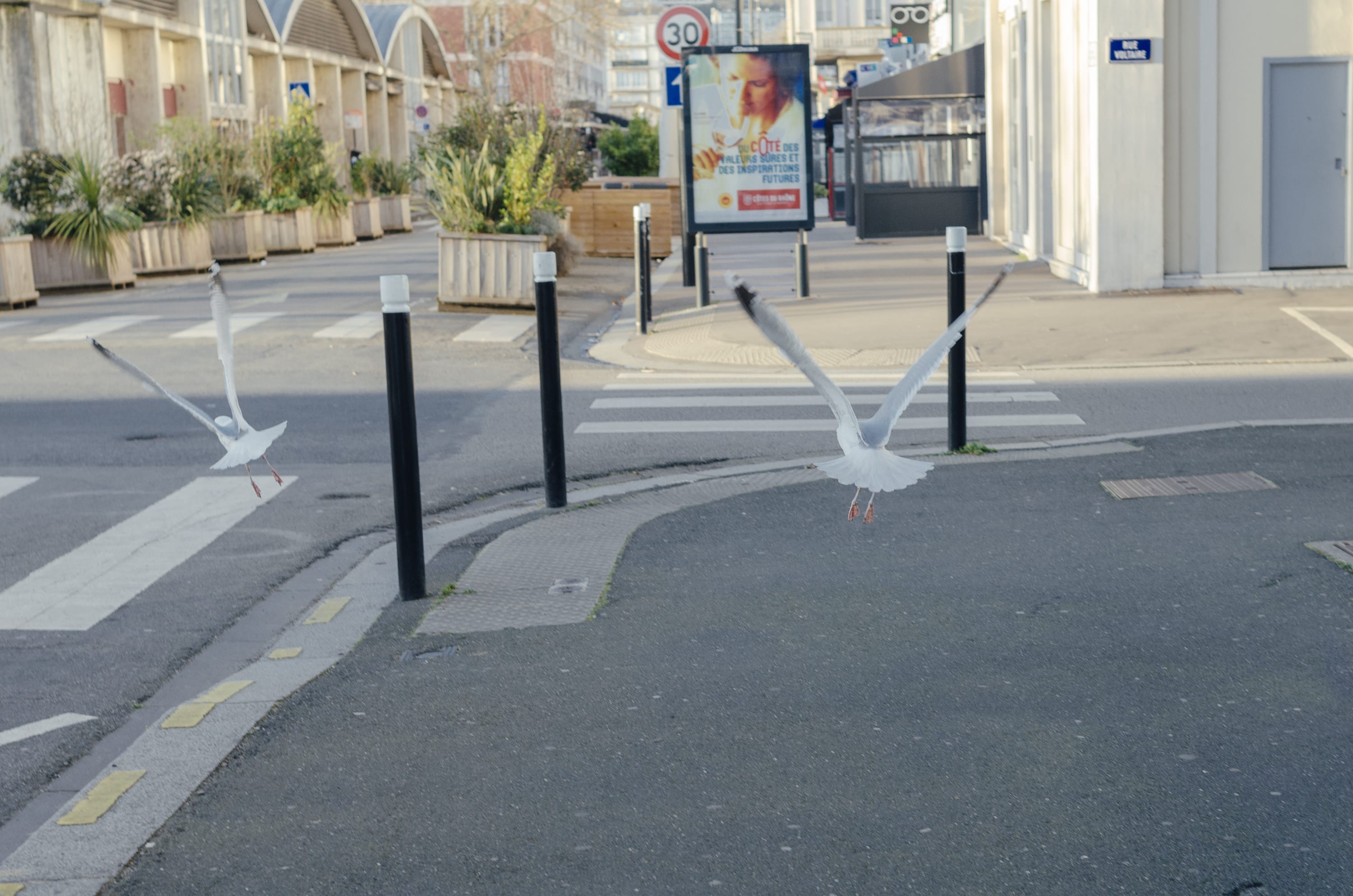 Фото 100 из альбома Le Havre & Etretat 2023