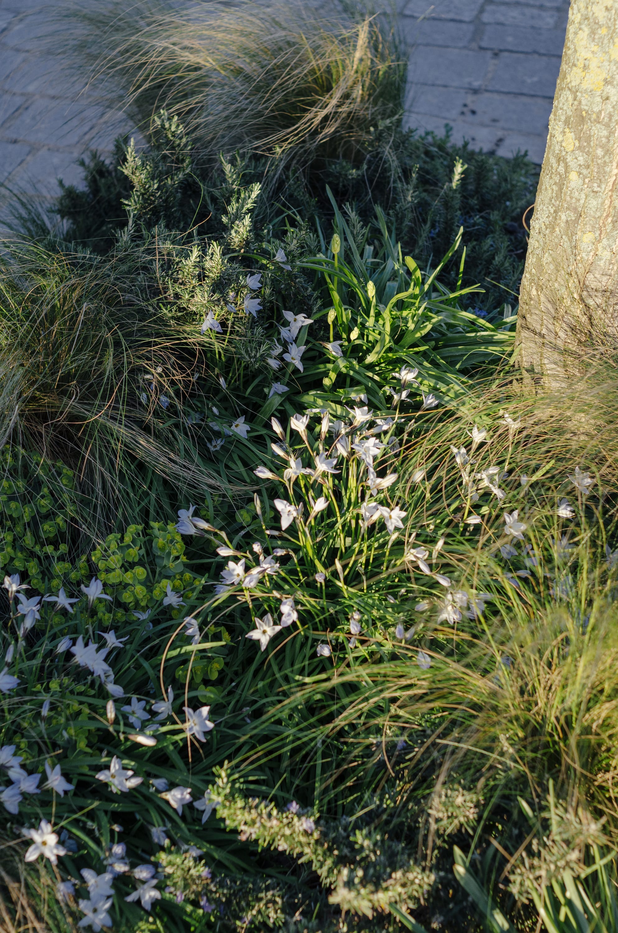 Фото 107 из альбома Le Havre & Etretat 2023