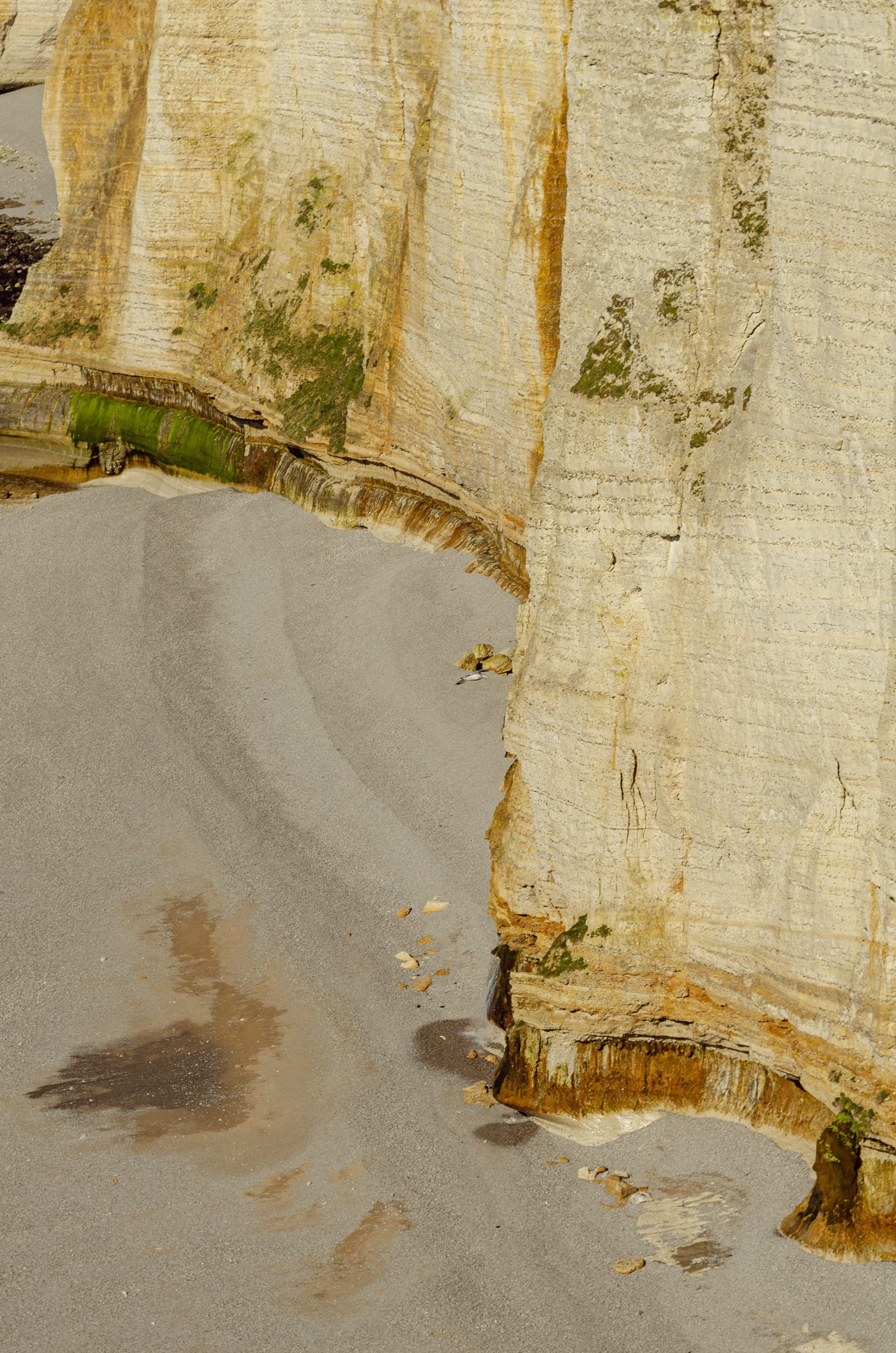 Фото 123 из альбома Le Havre & Etretat 2023