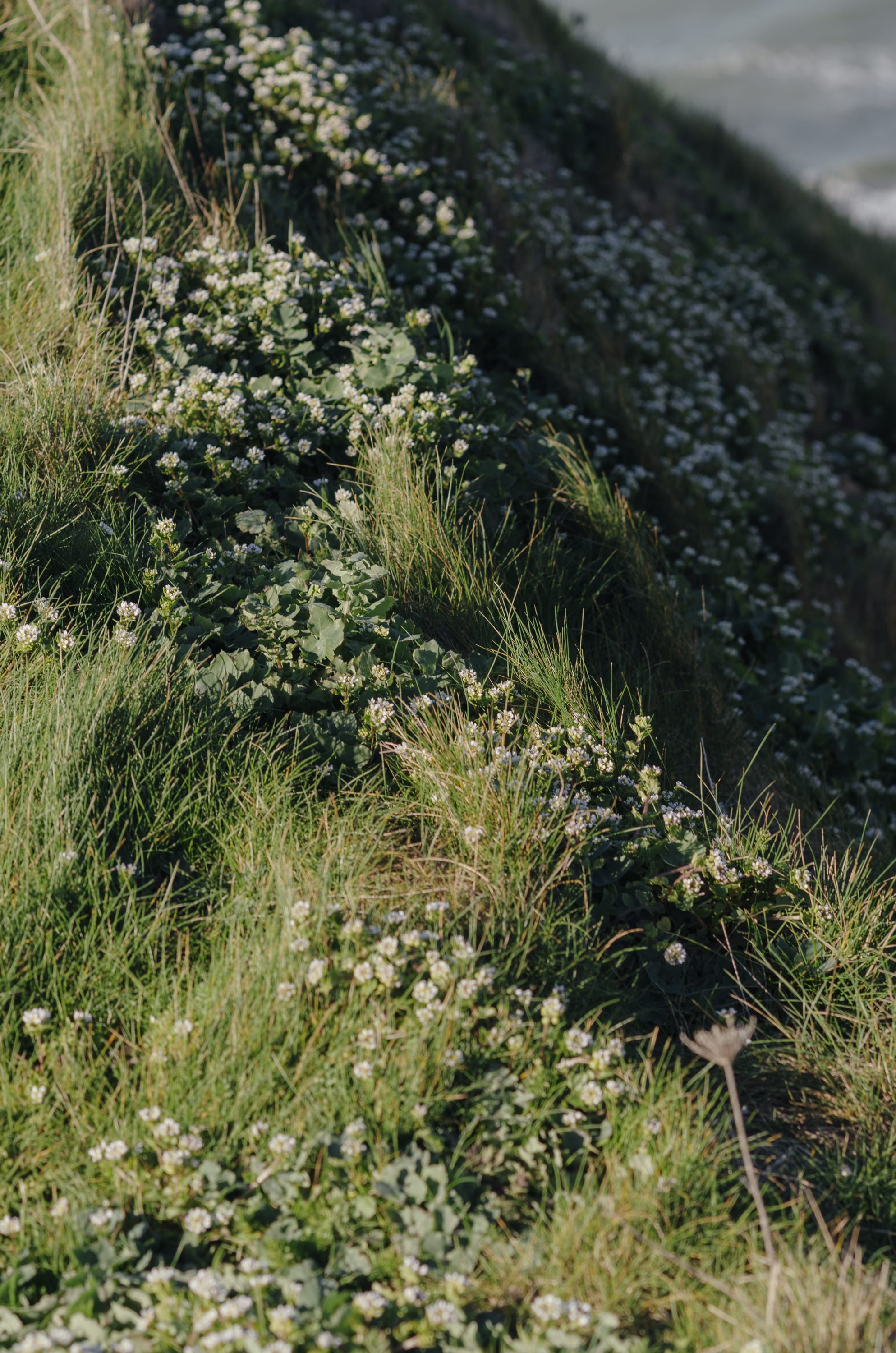 Фото 125 из альбома Le Havre & Etretat 2023