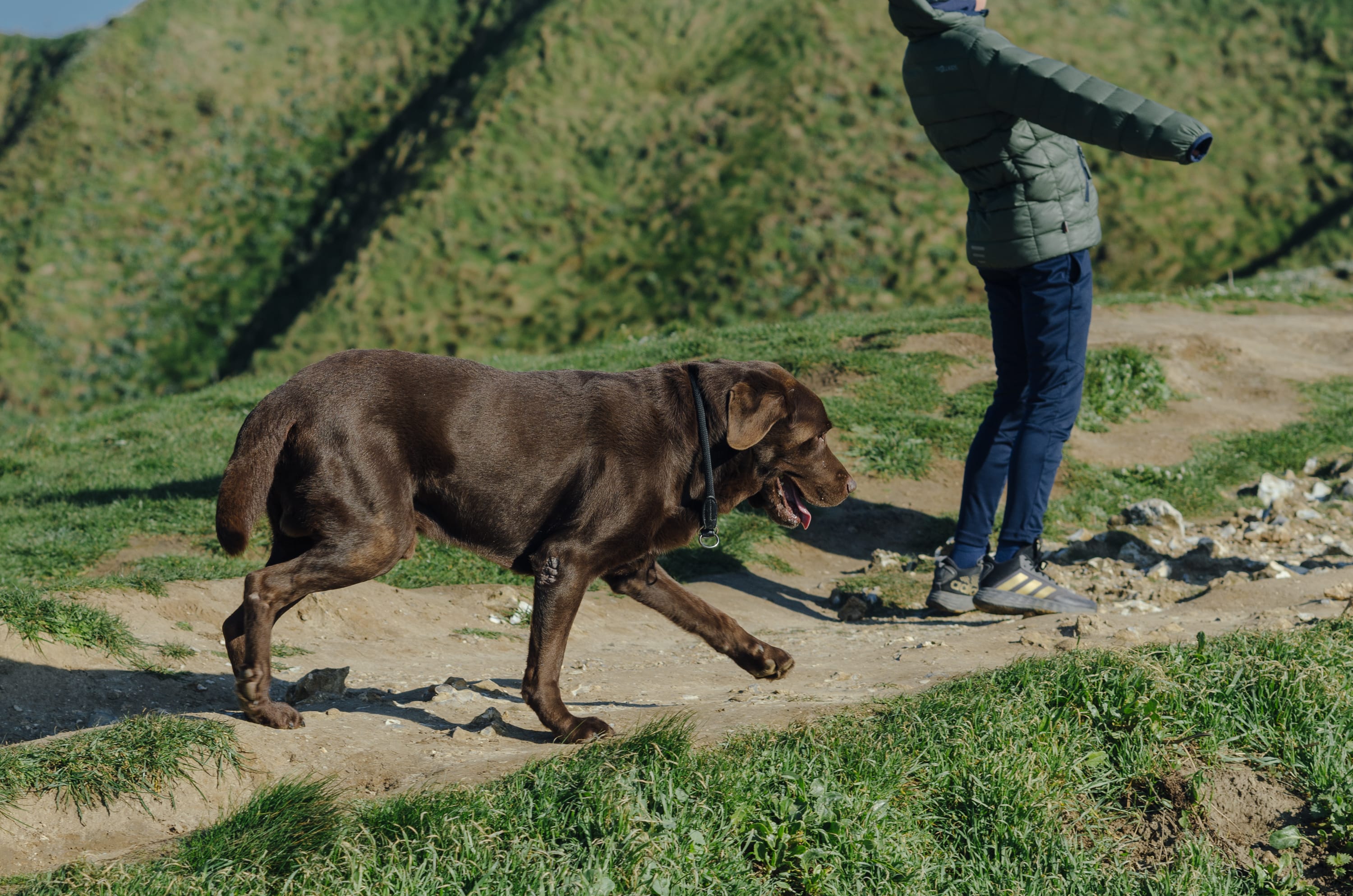 Фото 128 из альбома Le Havre & Etretat 2023
