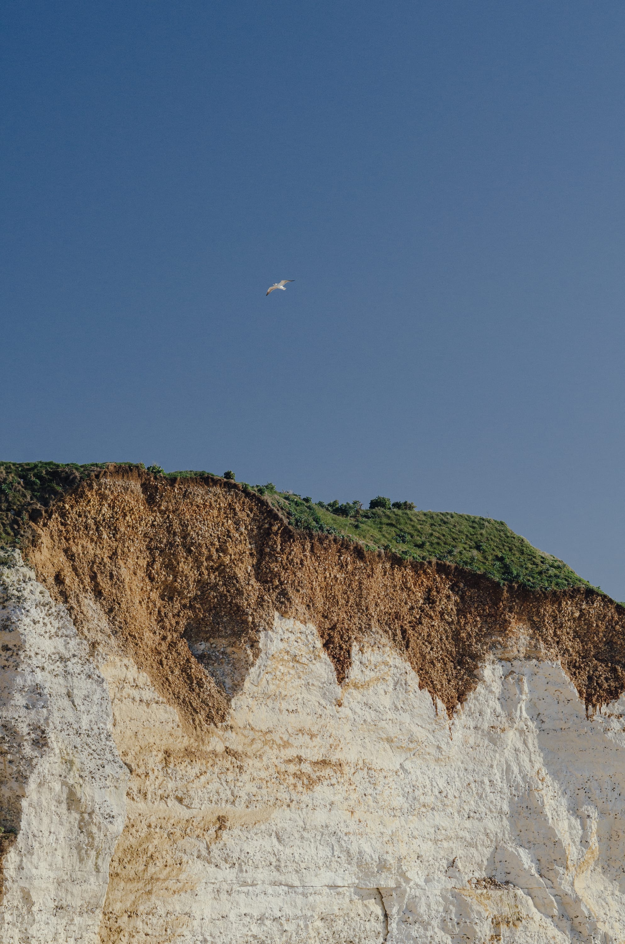Фото 138 из альбома Le Havre & Etretat 2023