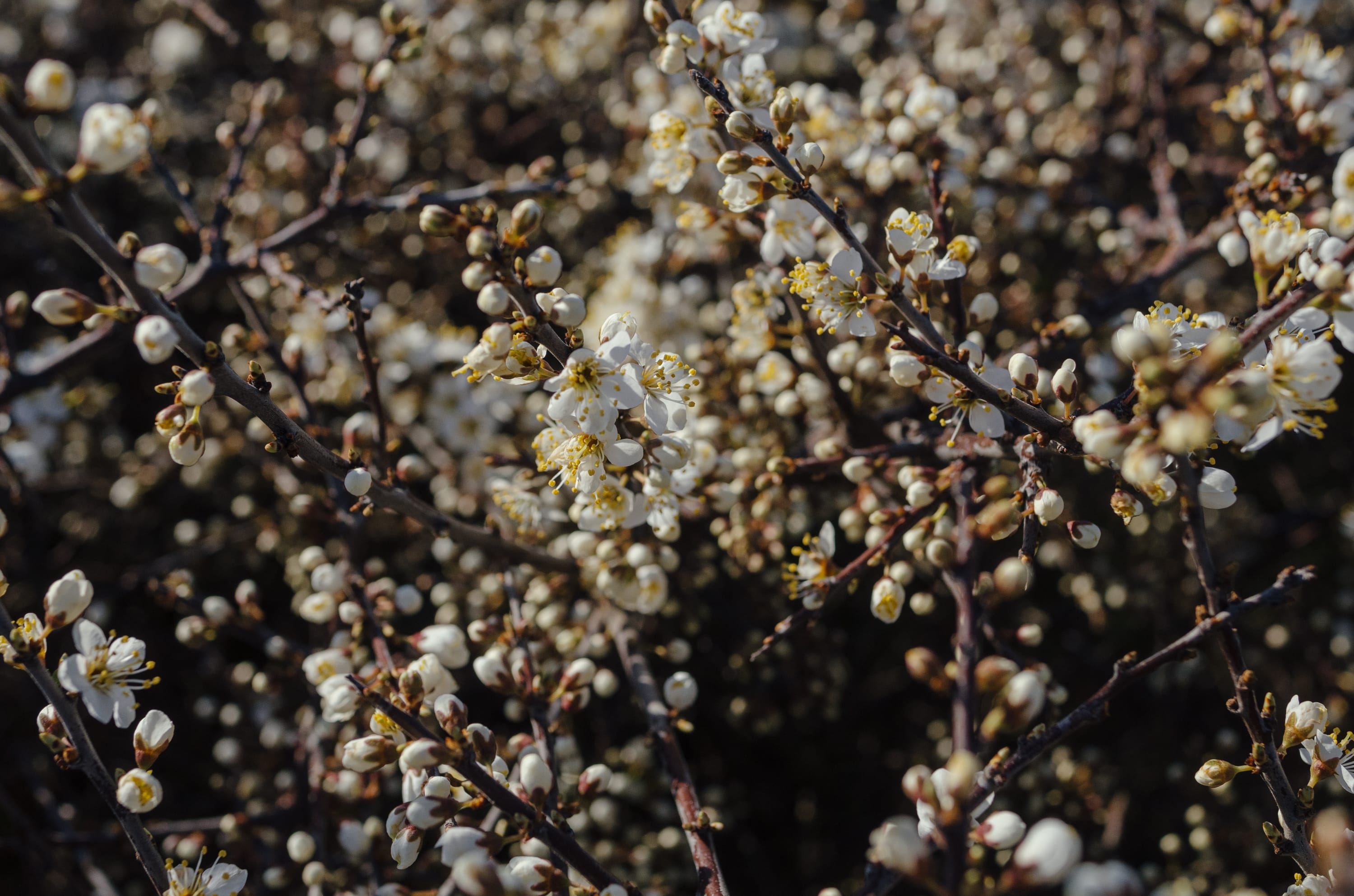 Фото 146 из альбома Le Havre & Etretat 2023