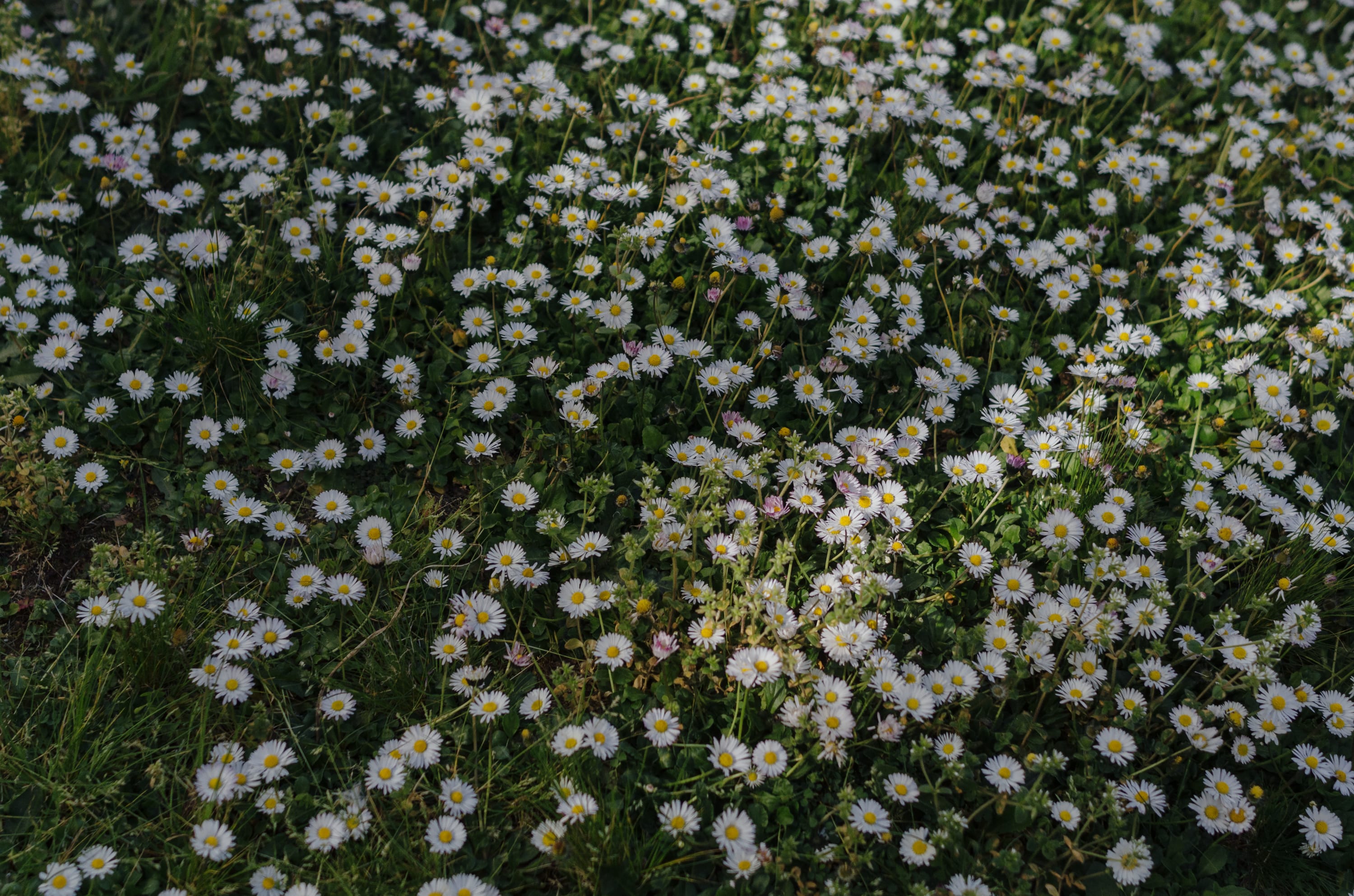 Фото 212 из альбома Le Havre & Etretat 2023