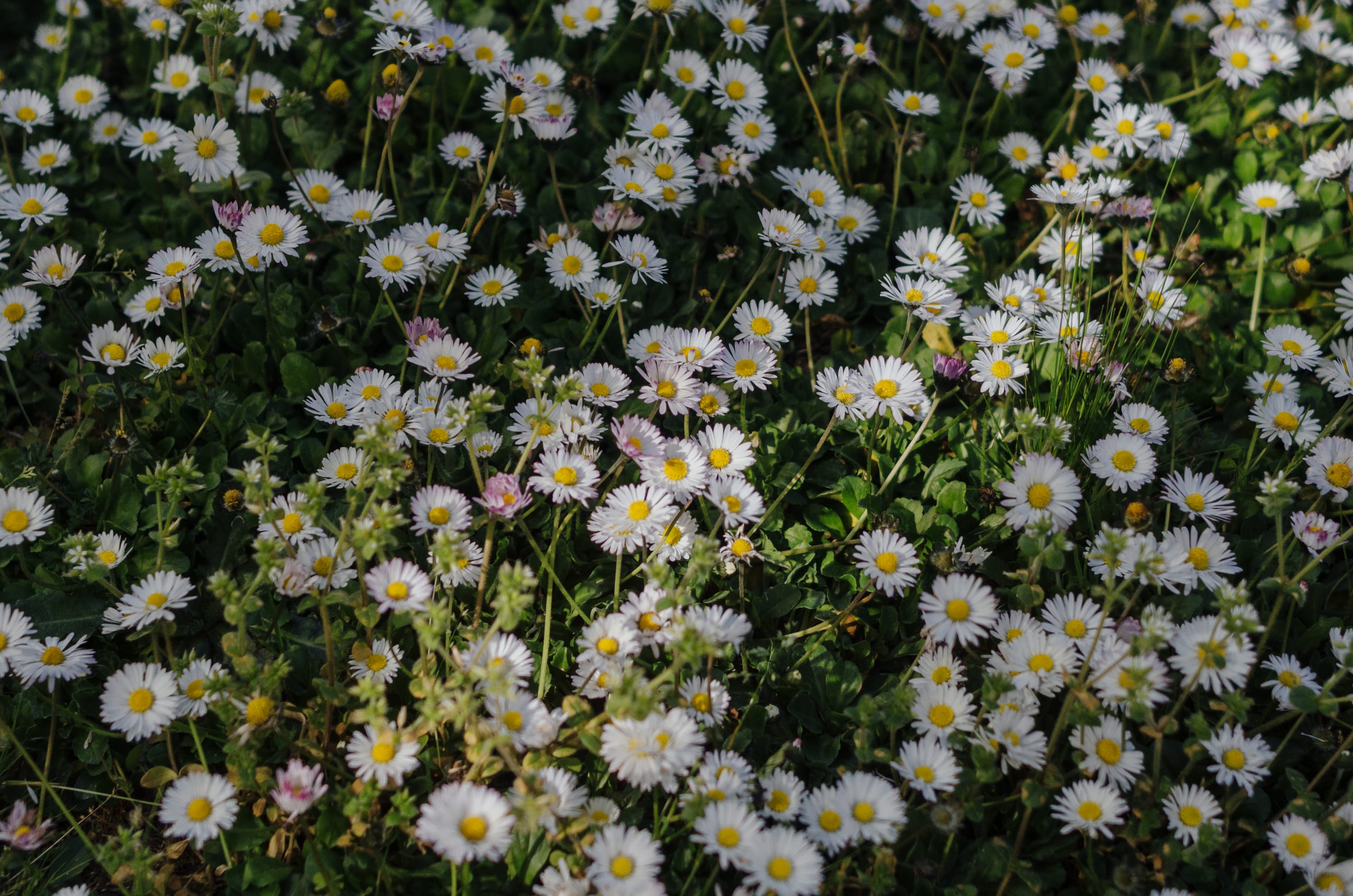 Фото 213 из альбома Le Havre & Etretat 2023