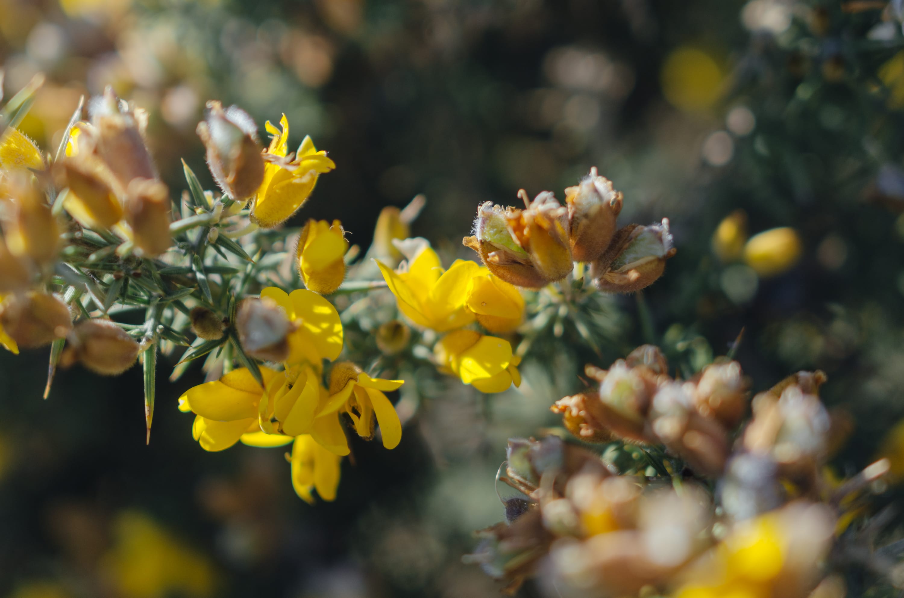 Фото 226 из альбома Le Havre & Etretat 2023