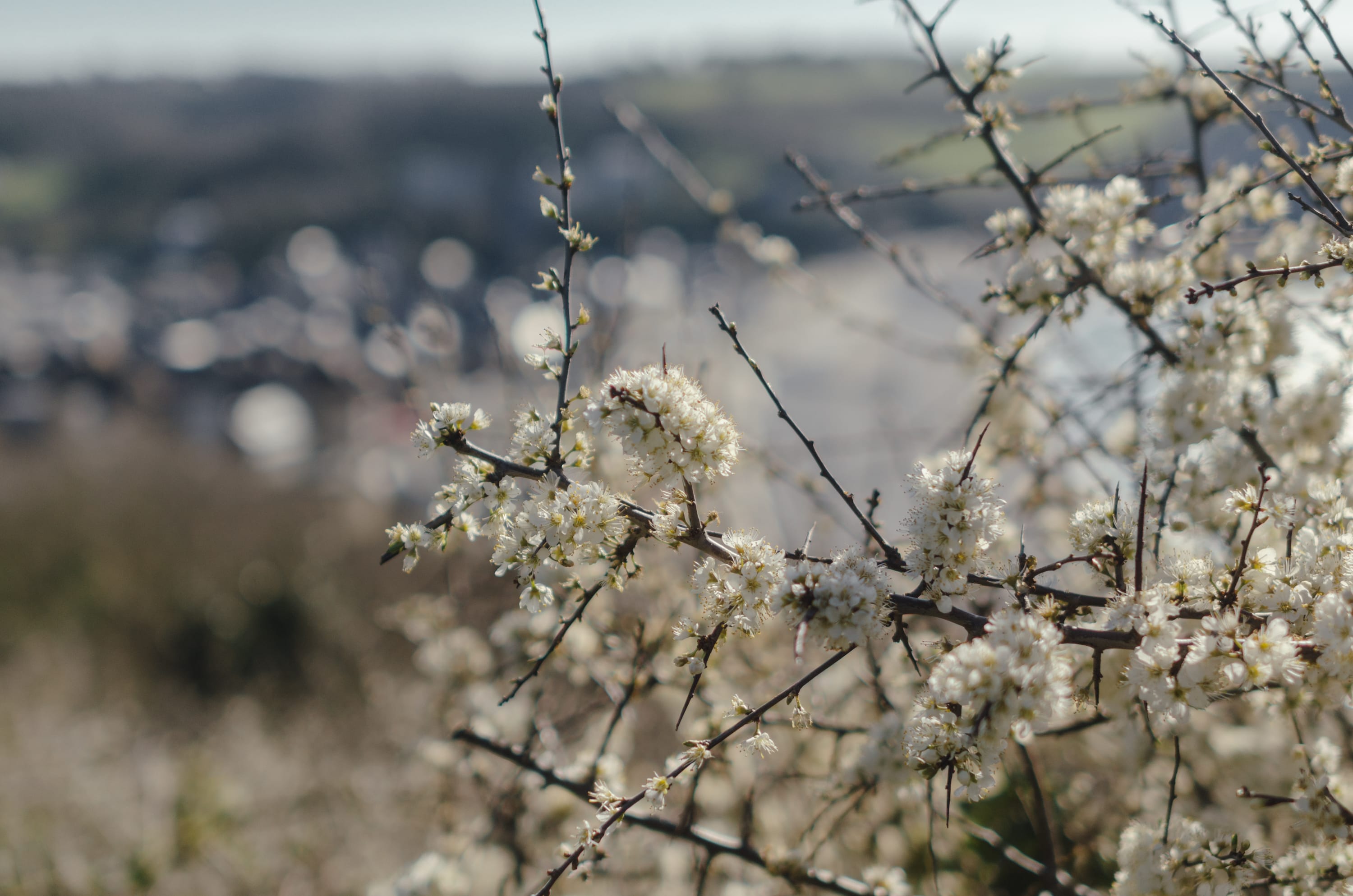 Фото 228 из альбома Le Havre & Etretat 2023