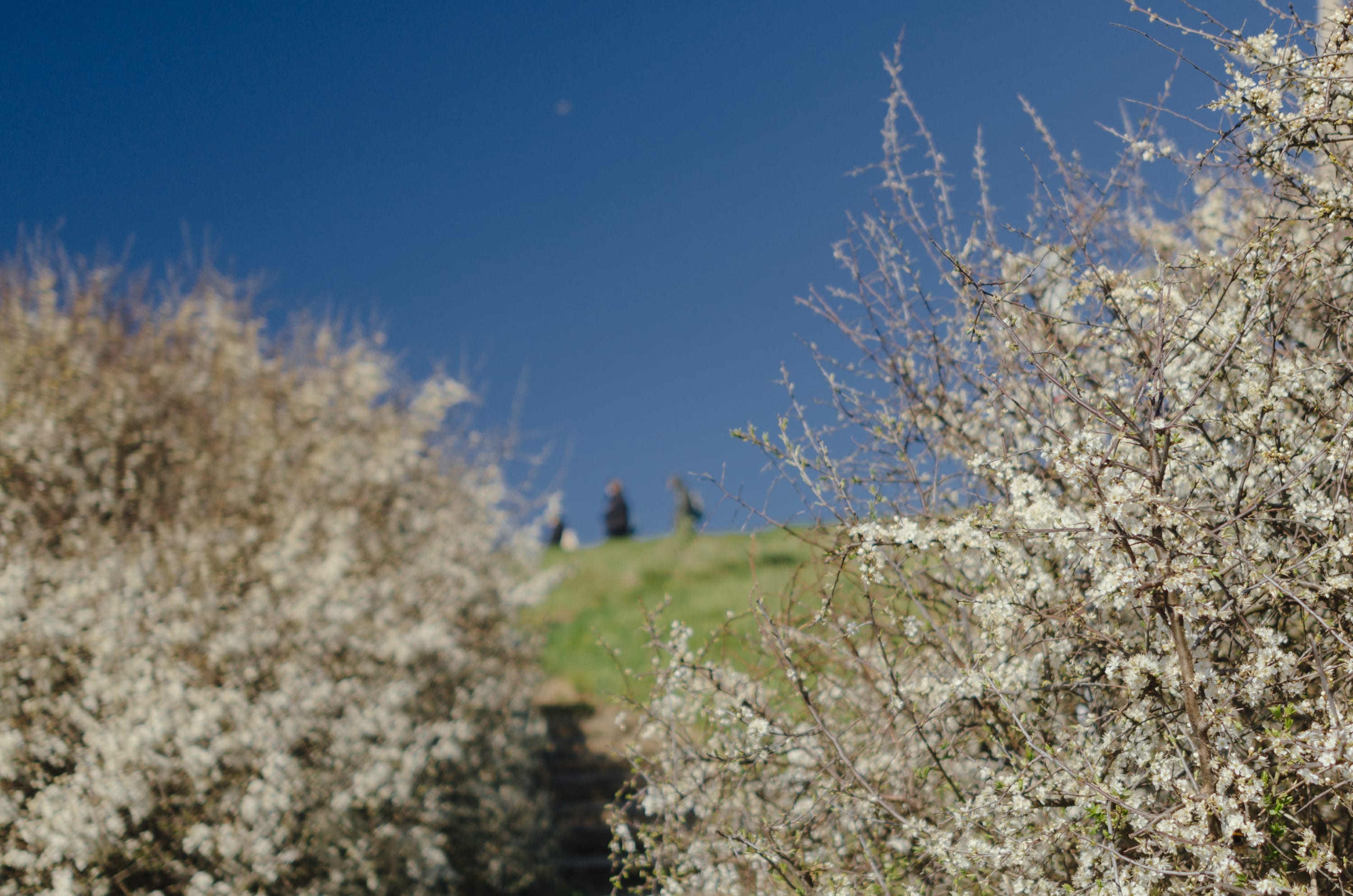 Фото 230 из альбома Le Havre & Etretat 2023
