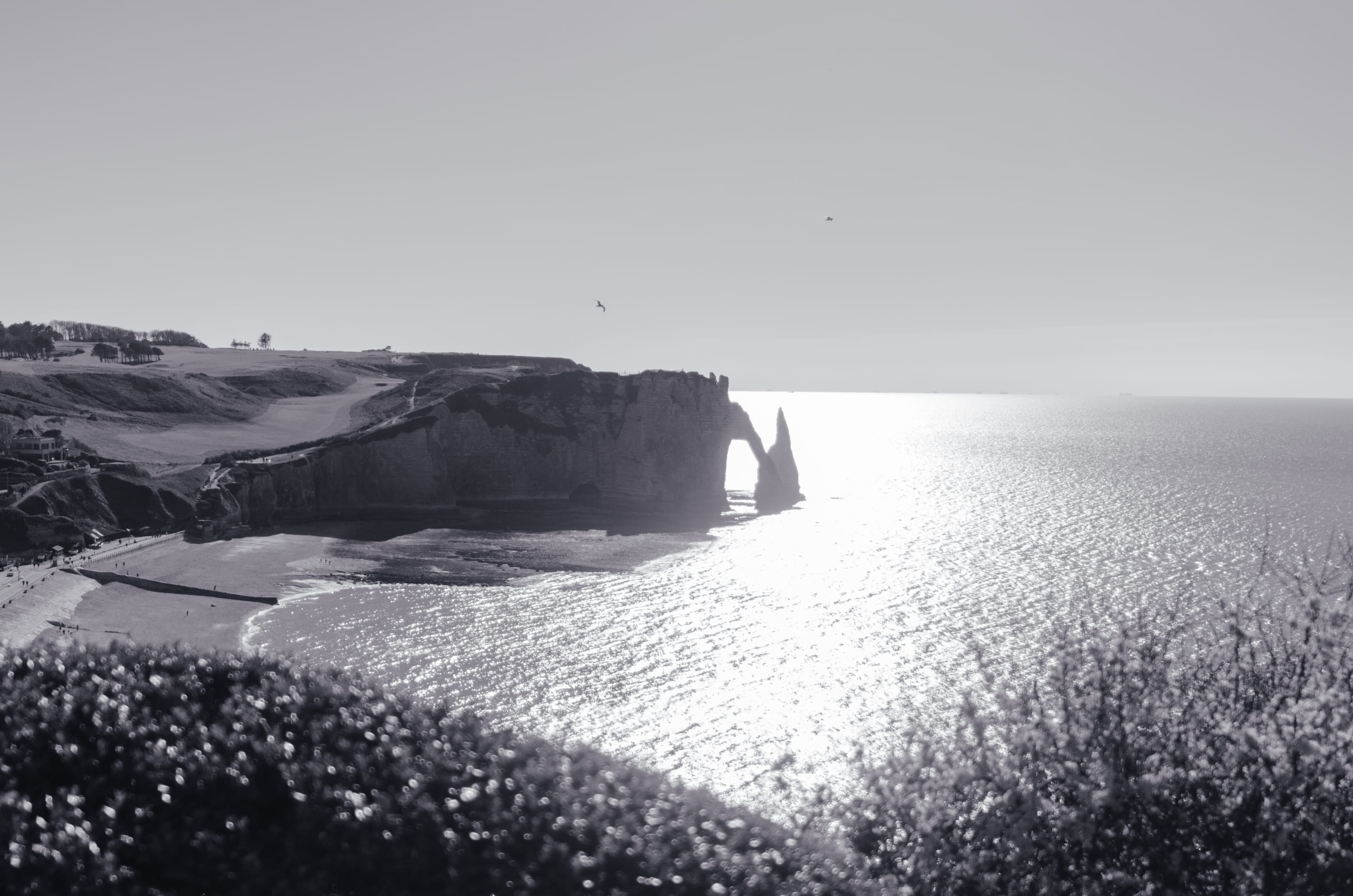 Фото 231 из альбома Le Havre & Etretat 2023