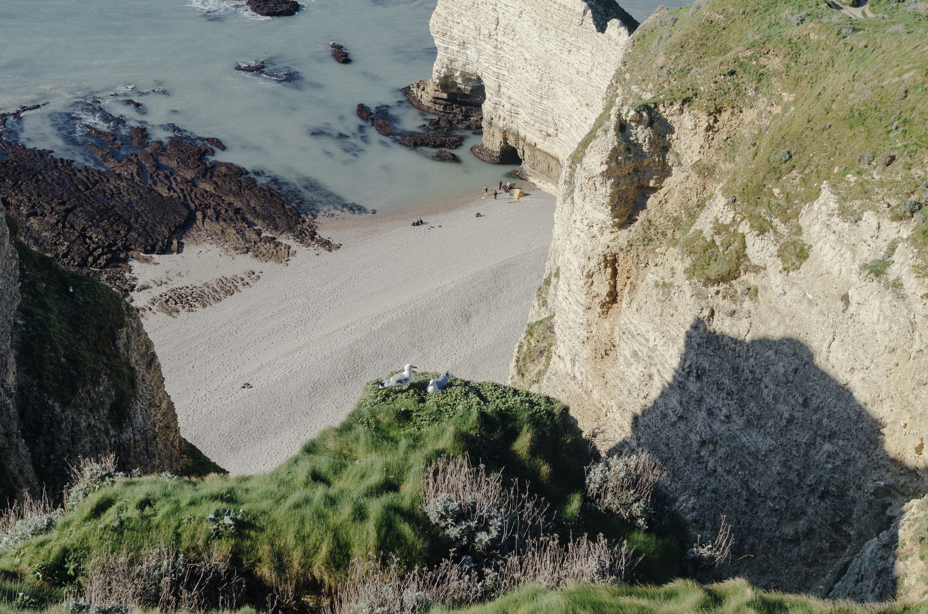 Фото 240 из альбома Le Havre & Etretat 2023