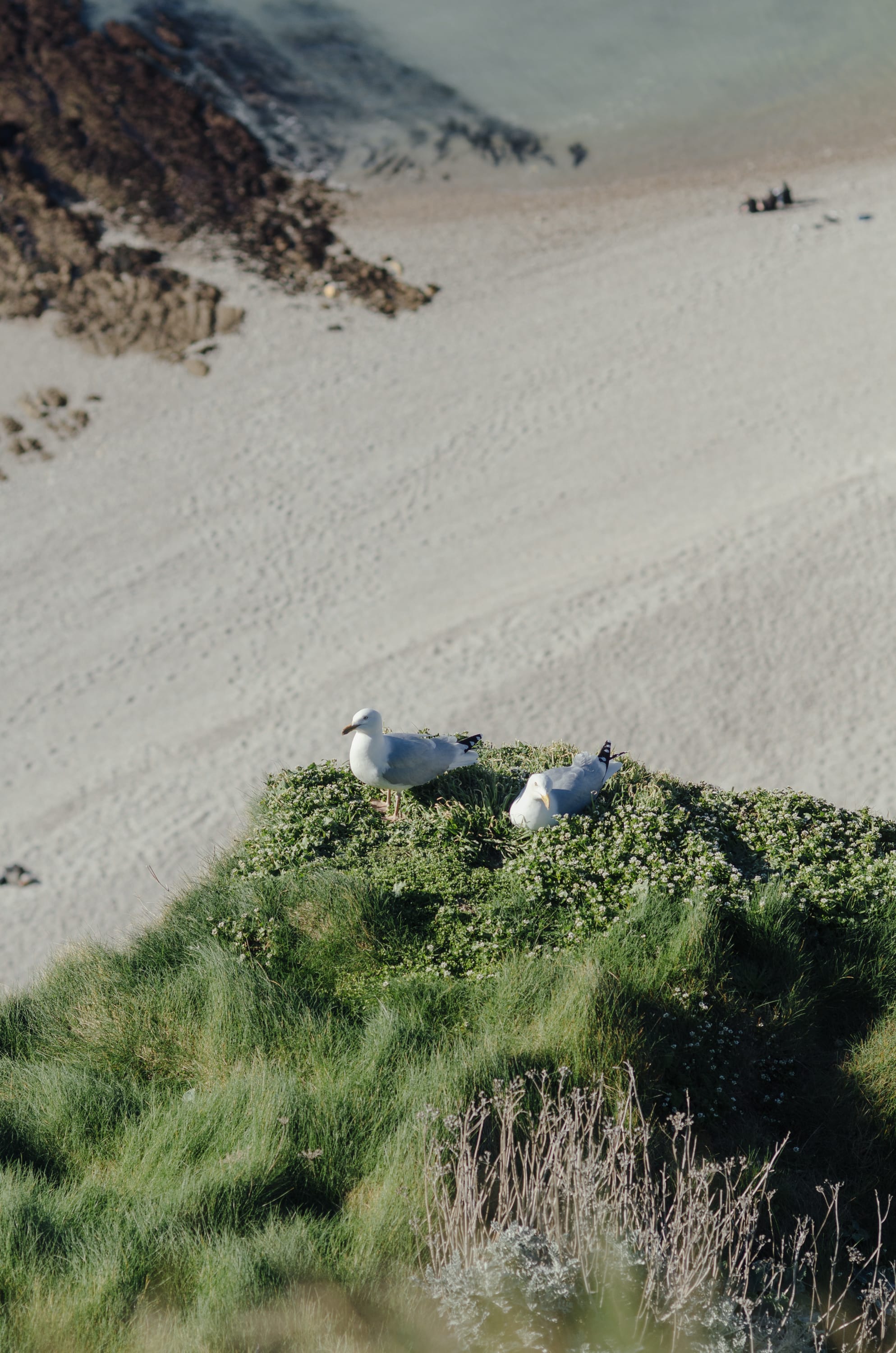 Фото 241 из альбома Le Havre & Etretat 2023