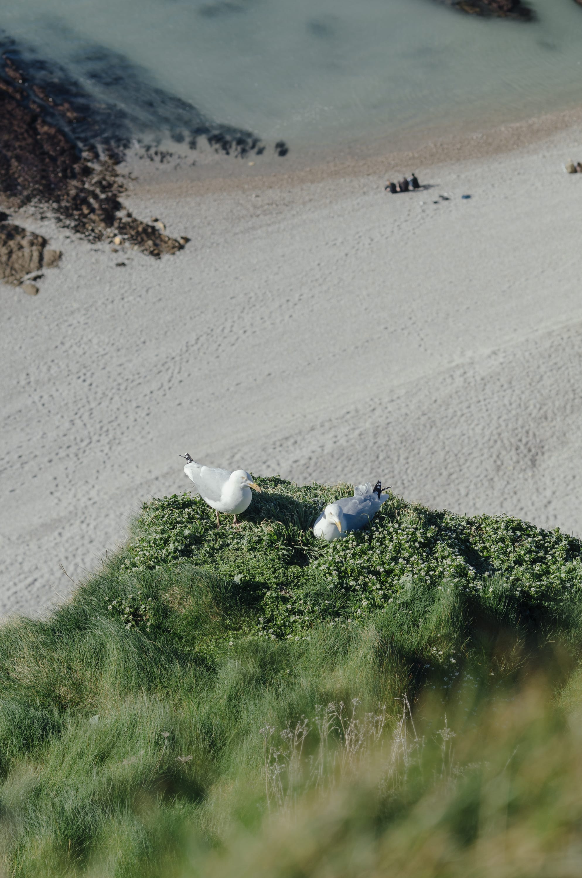 Фото 242 из альбома Le Havre & Etretat 2023