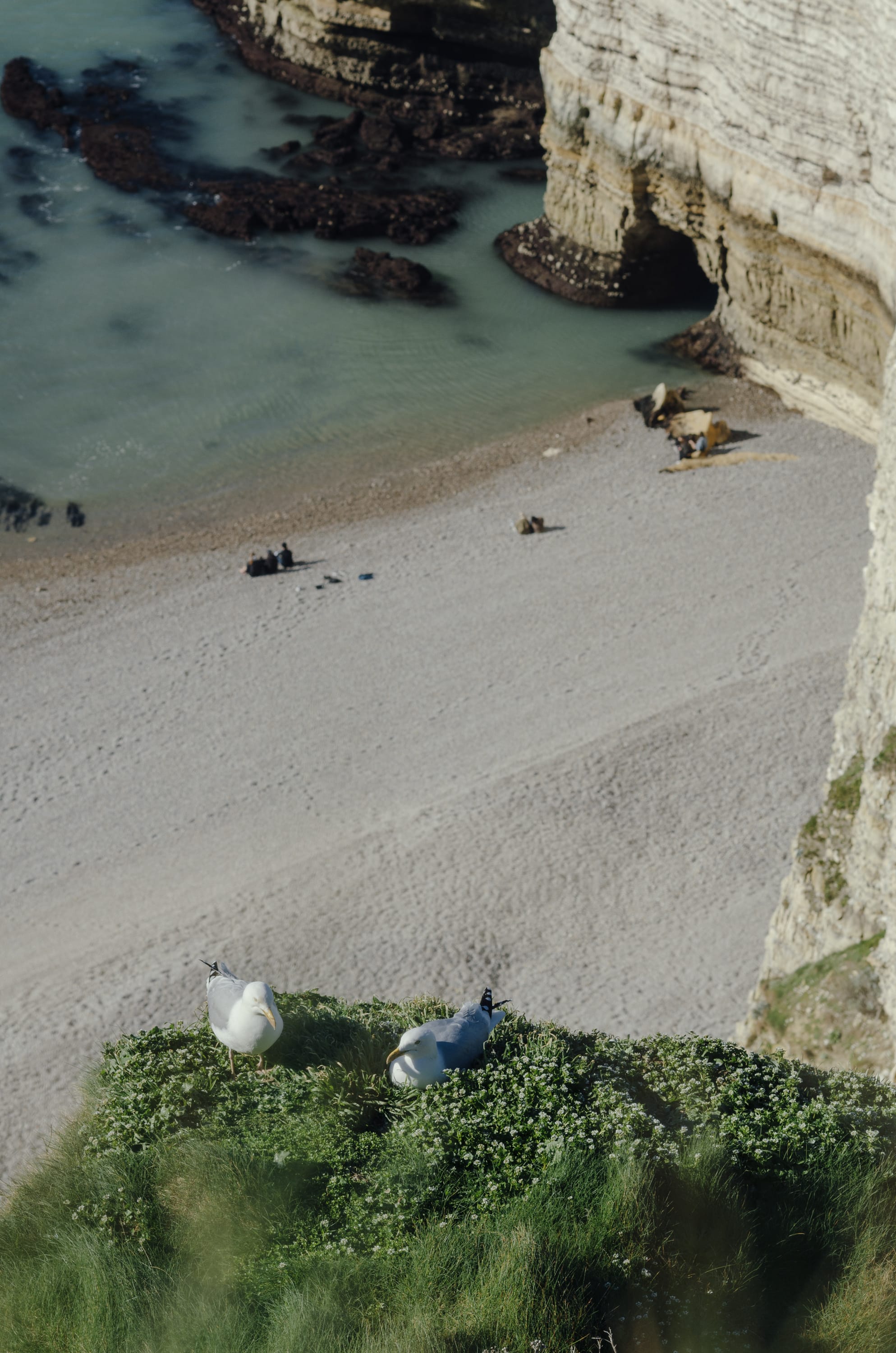 Фото 243 из альбома Le Havre & Etretat 2023