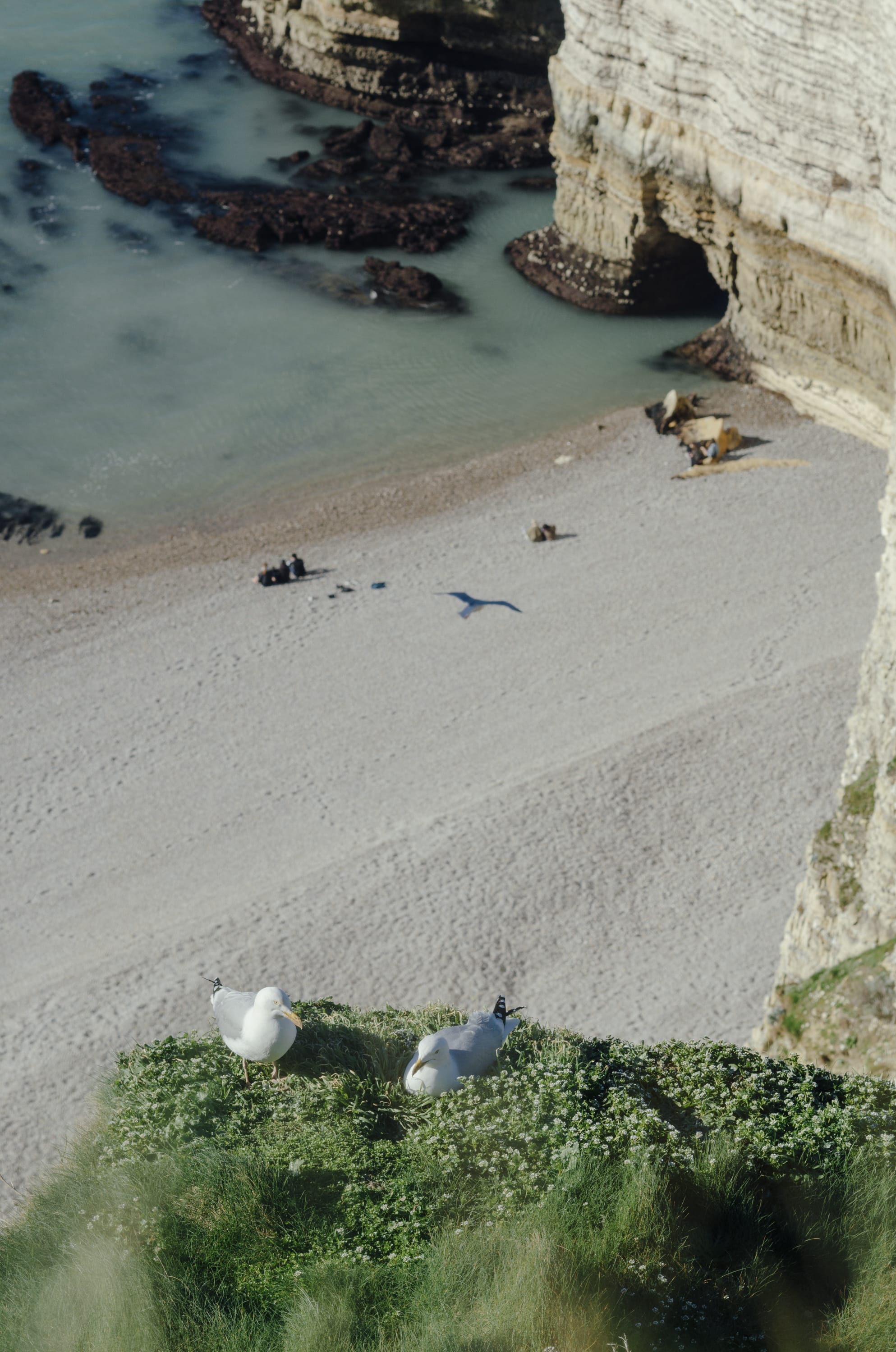 Фото 244 из альбома Le Havre & Etretat 2023