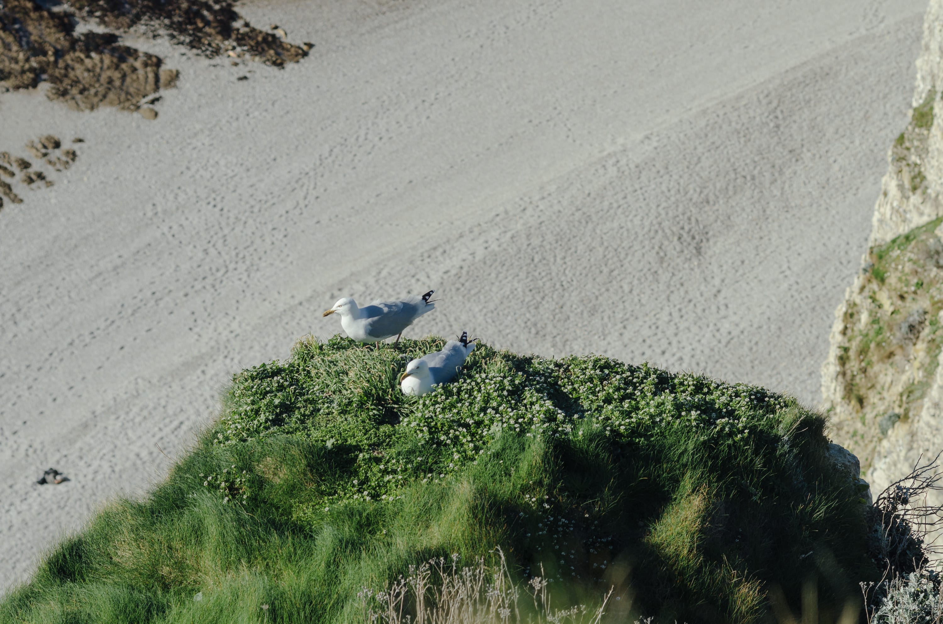 Фото 245 из альбома Le Havre & Etretat 2023