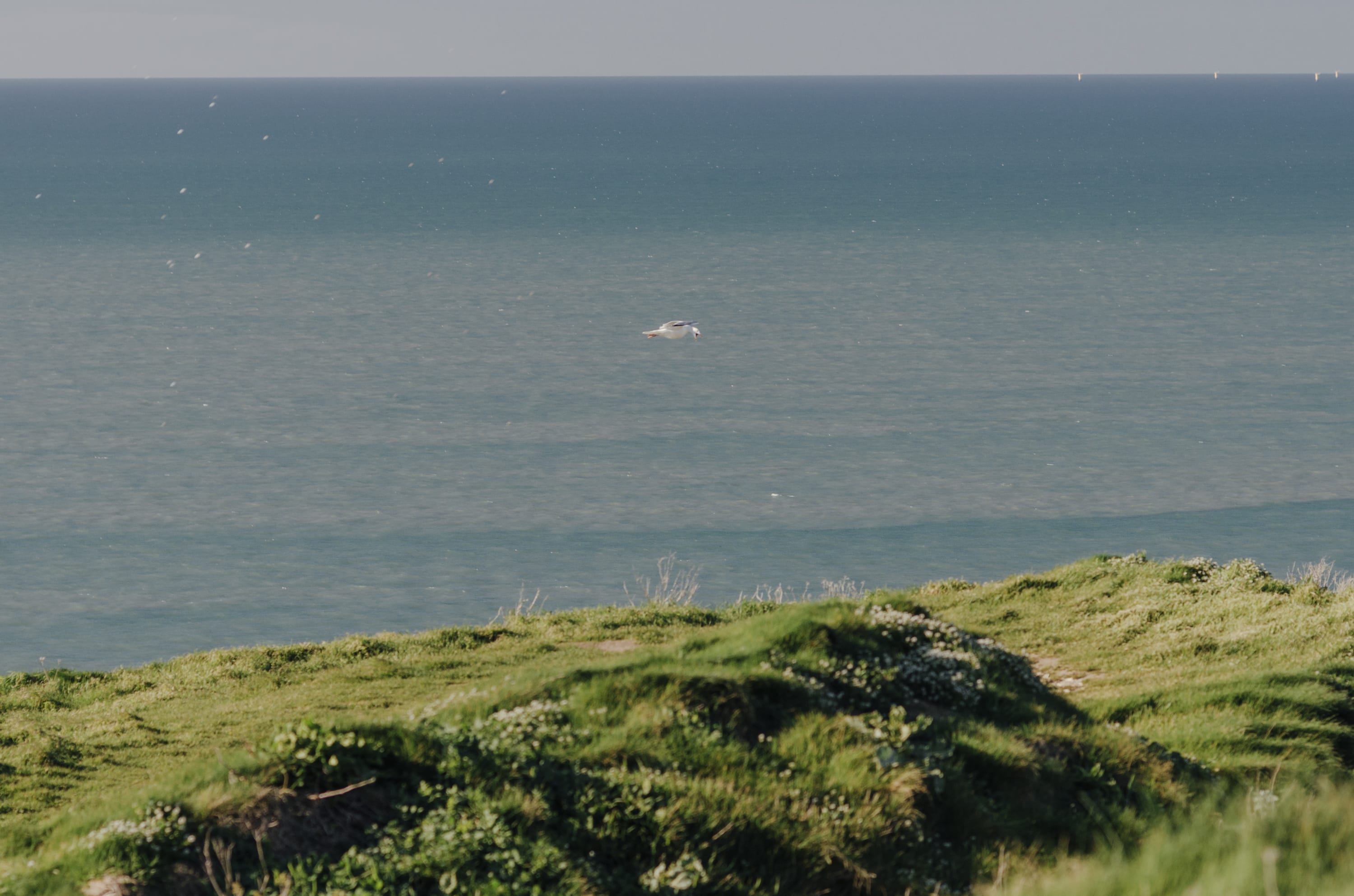 Фото 256 из альбома Le Havre & Etretat 2023