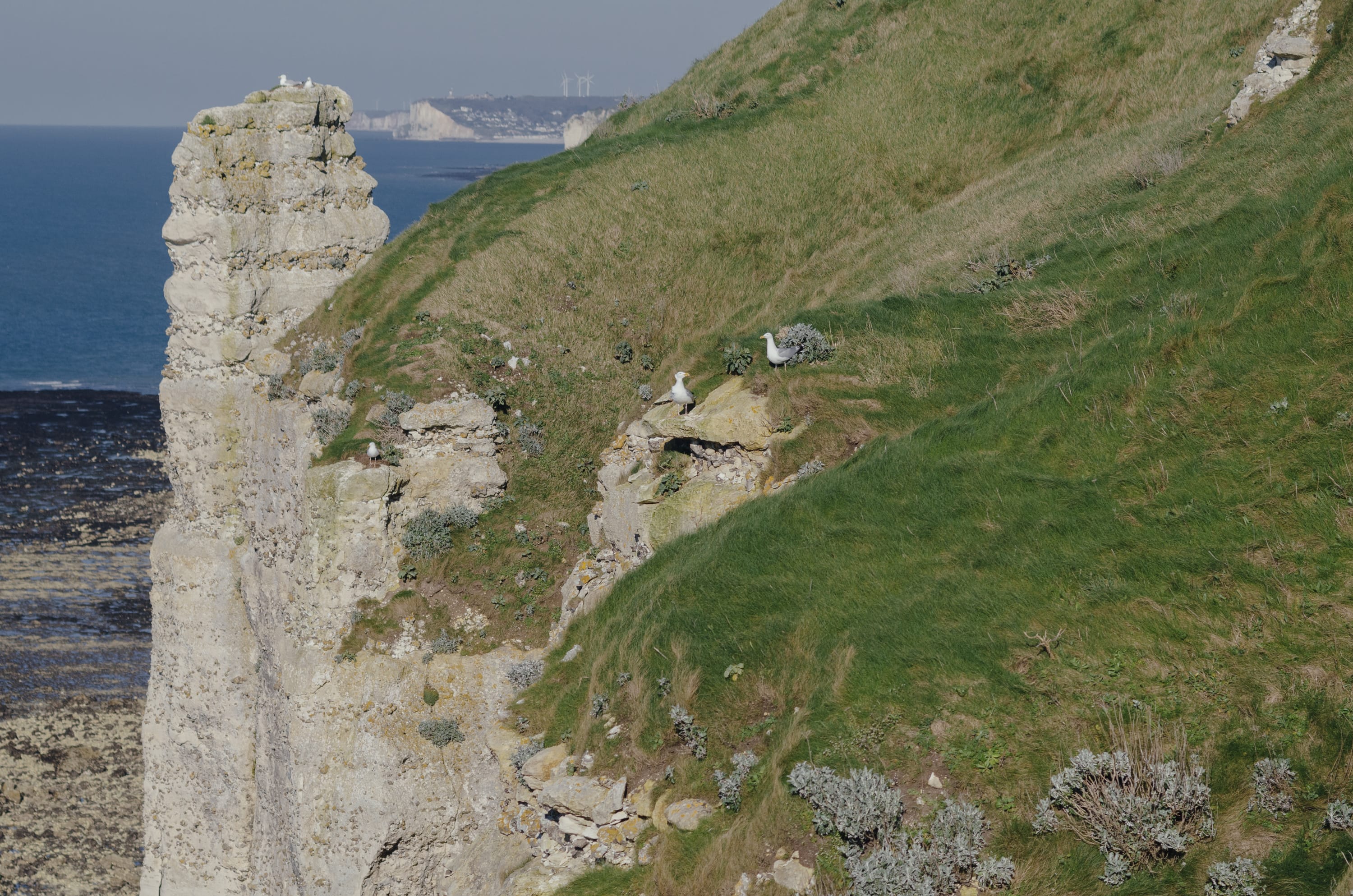 Фото 257 из альбома Le Havre & Etretat 2023