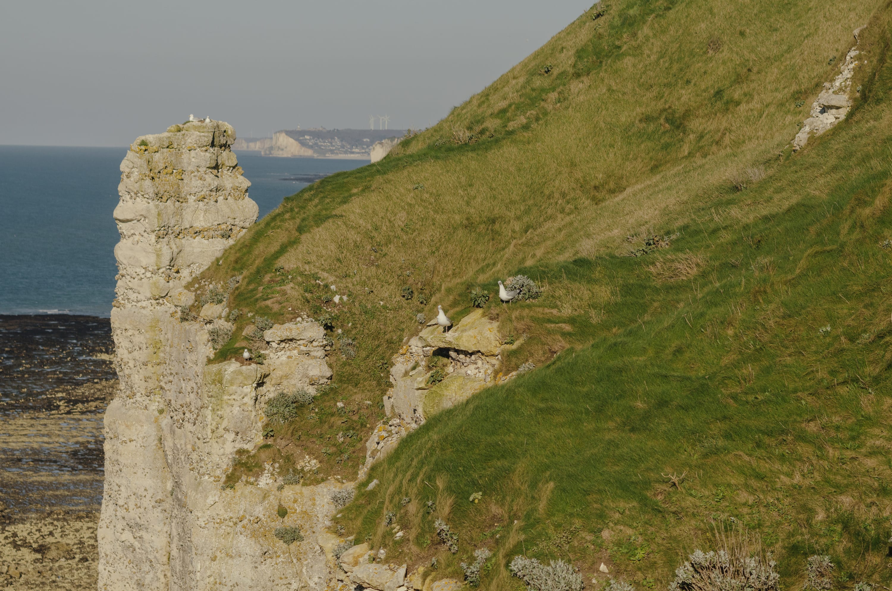 Фото 258 из альбома Le Havre & Etretat 2023