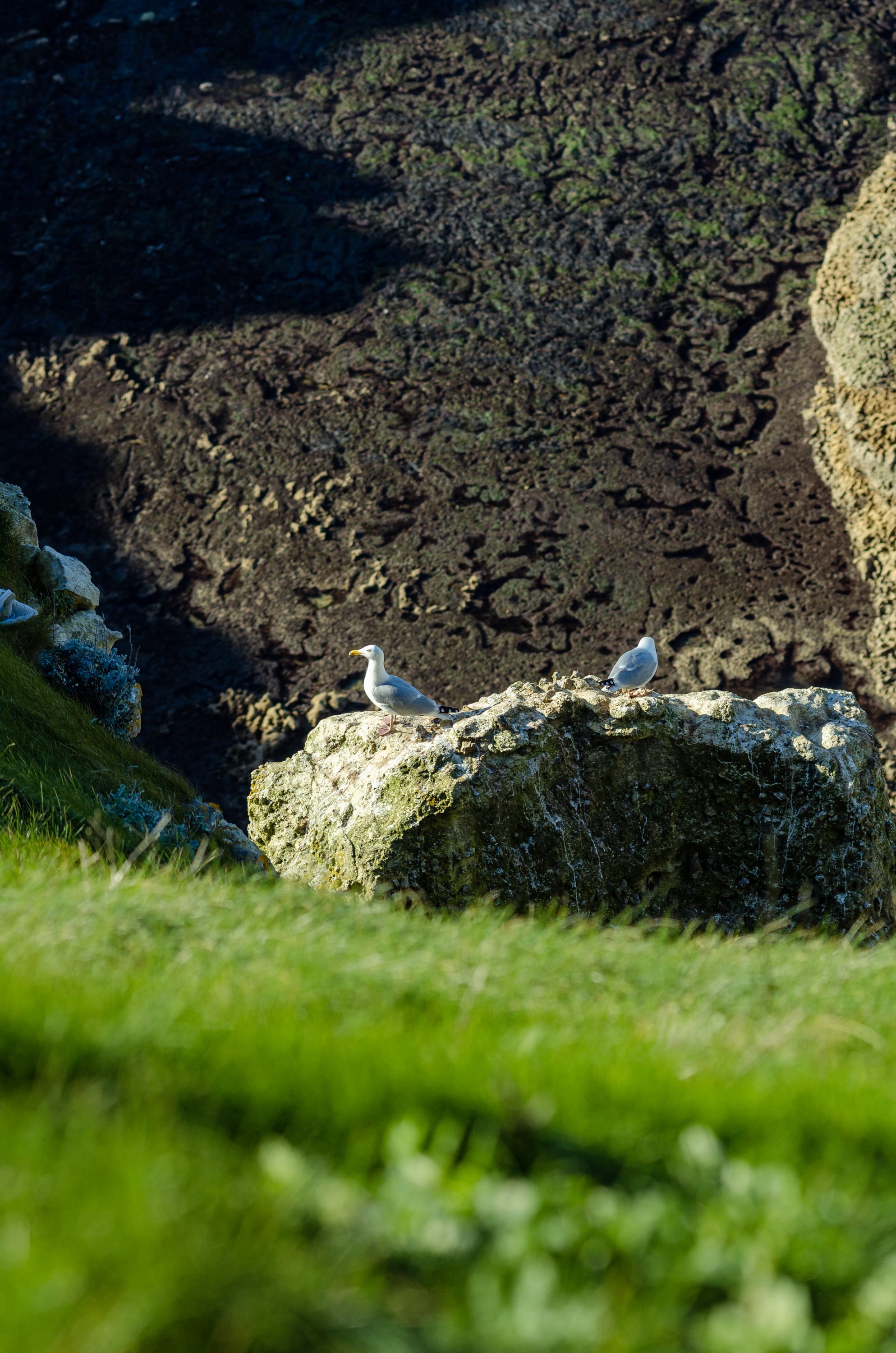 Фото 259 из альбома Le Havre & Etretat 2023