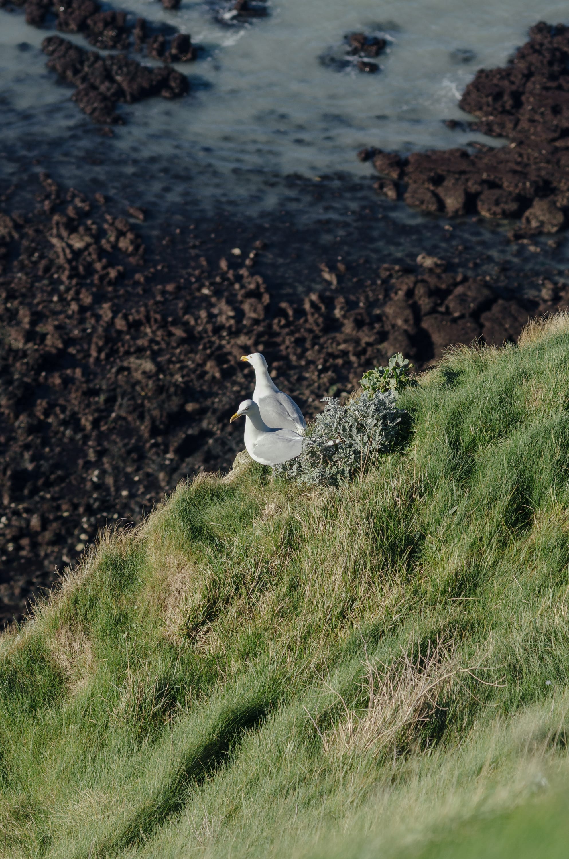 Фото 260 из альбома Le Havre & Etretat 2023