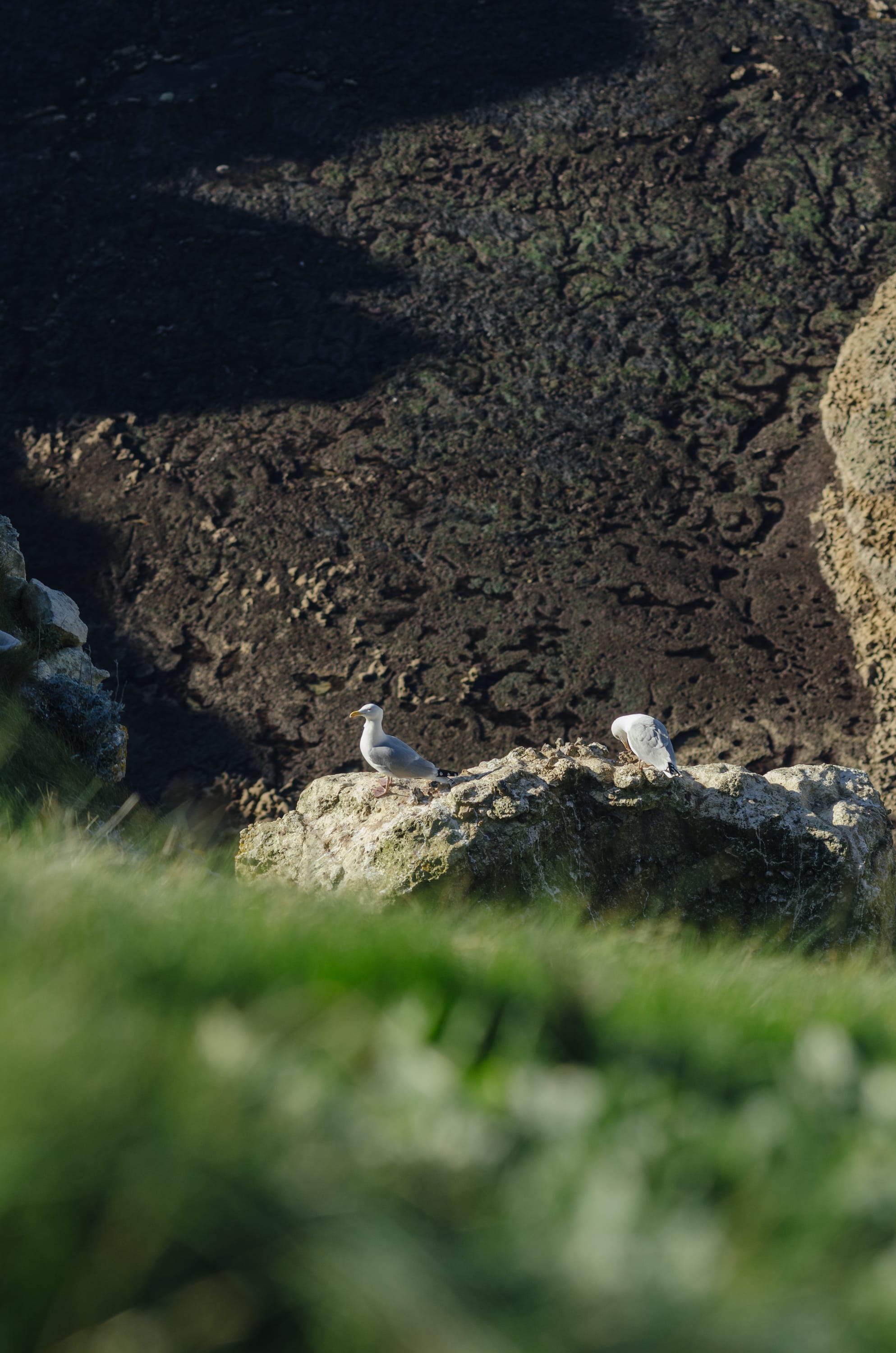 Фото 261 из альбома Le Havre & Etretat 2023