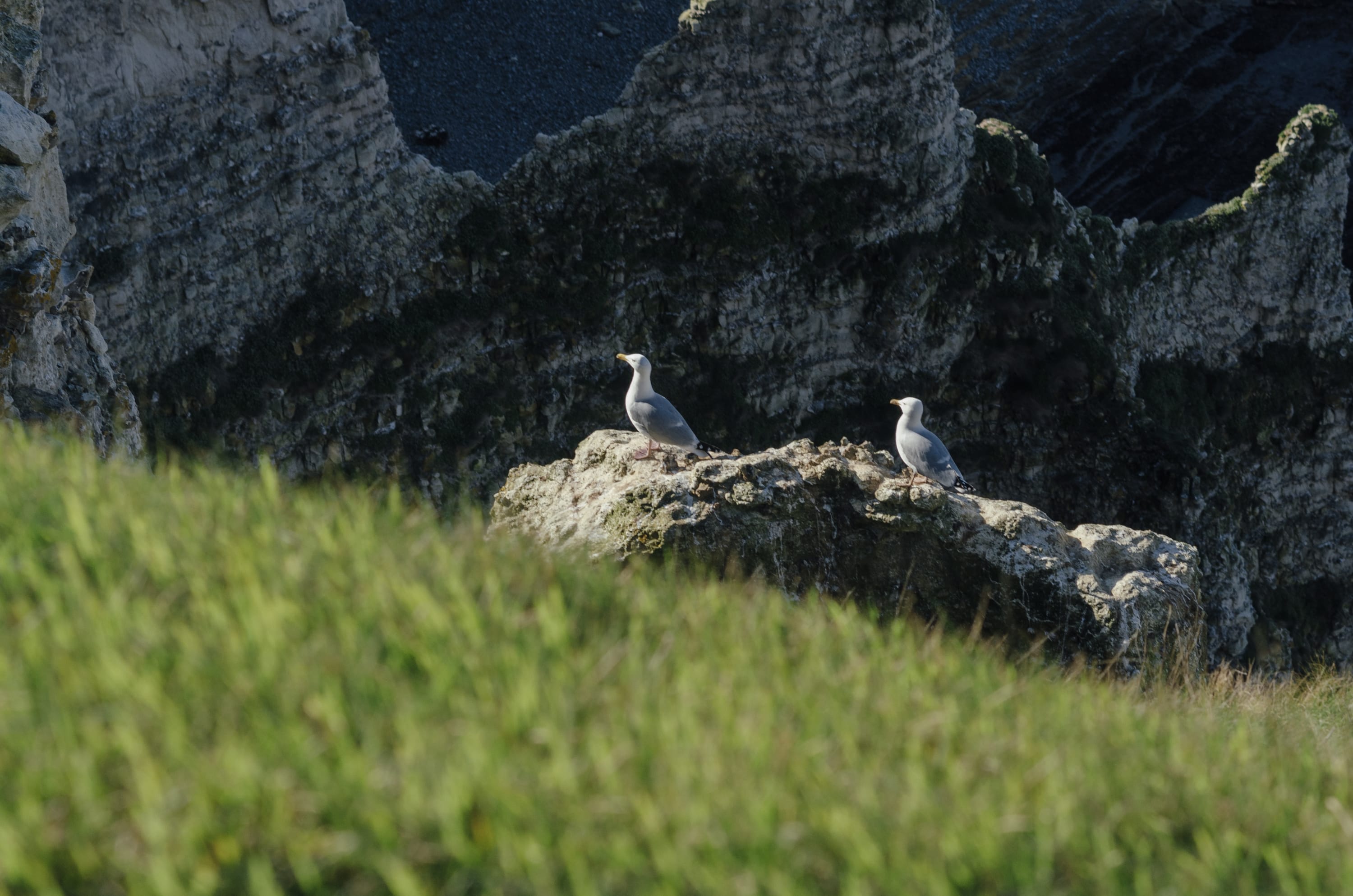 Фото 262 из альбома Le Havre & Etretat 2023