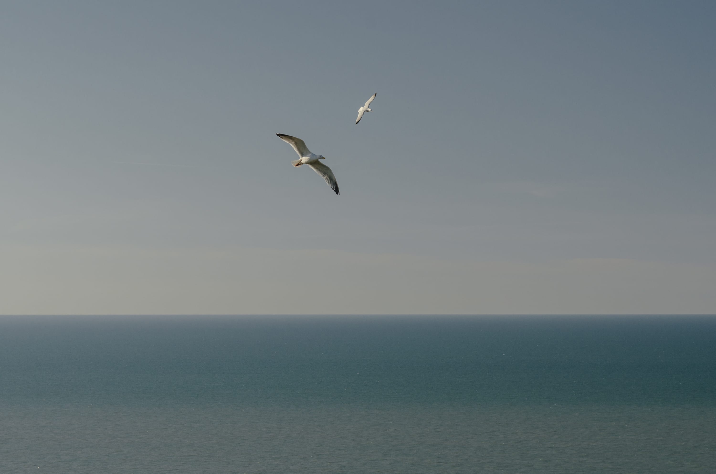 Фото 263 из альбома Le Havre & Etretat 2023