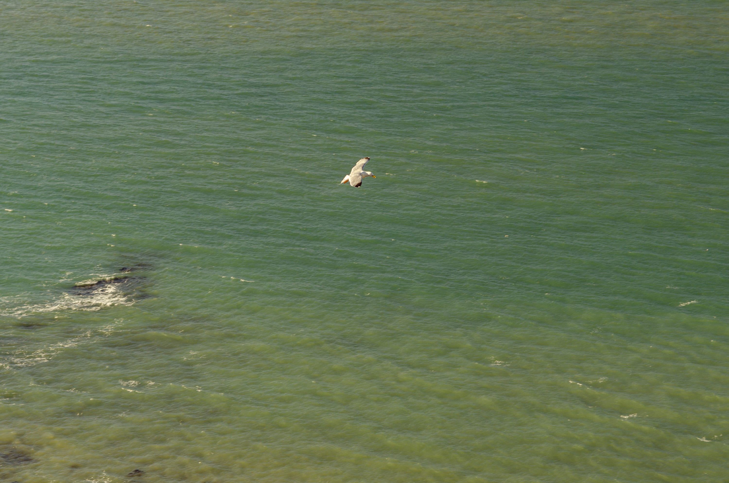 Фото 264 из альбома Le Havre & Etretat 2023