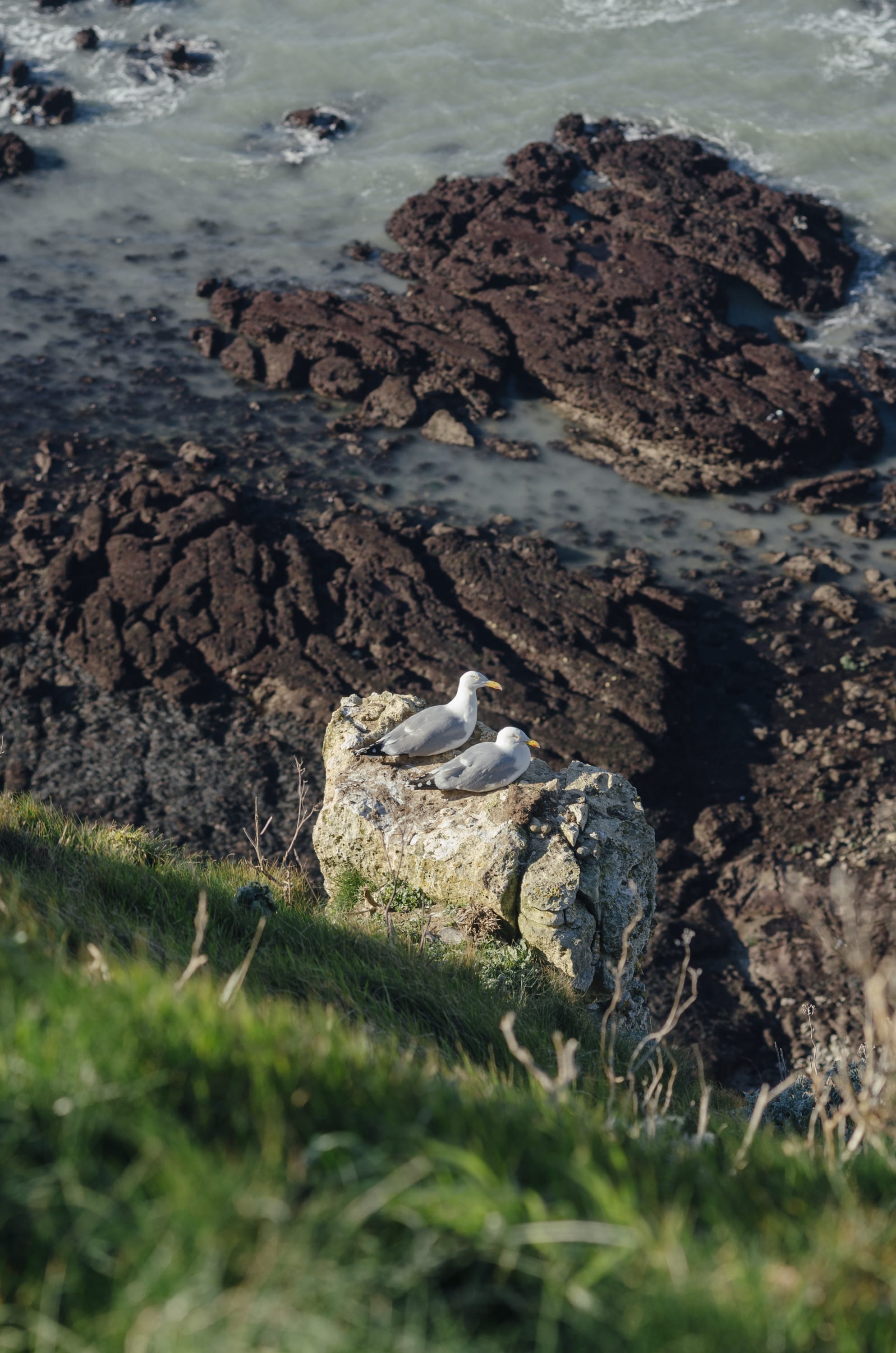 Фото 265 из альбома Le Havre & Etretat 2023