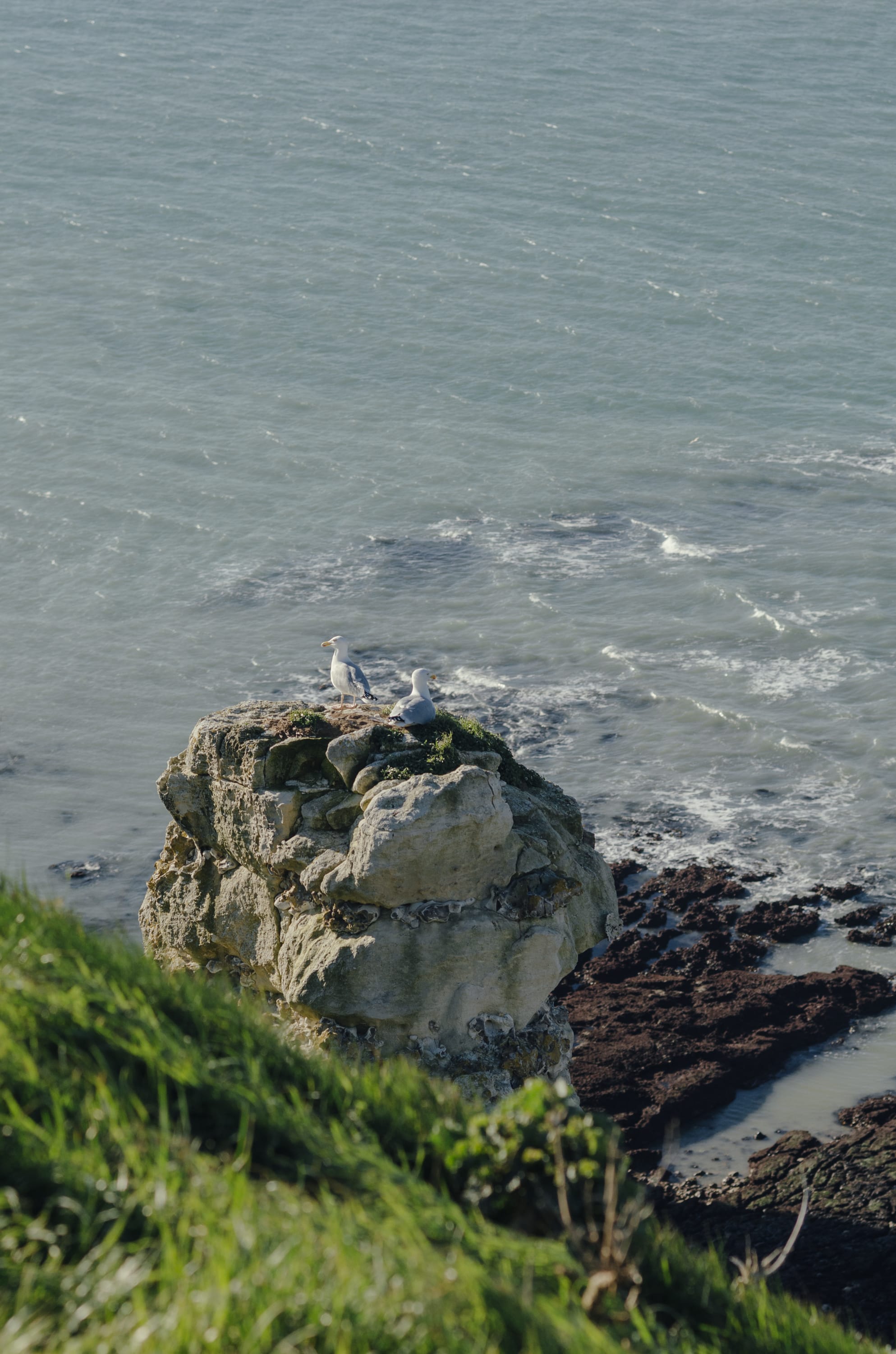 Фото 266 из альбома Le Havre & Etretat 2023