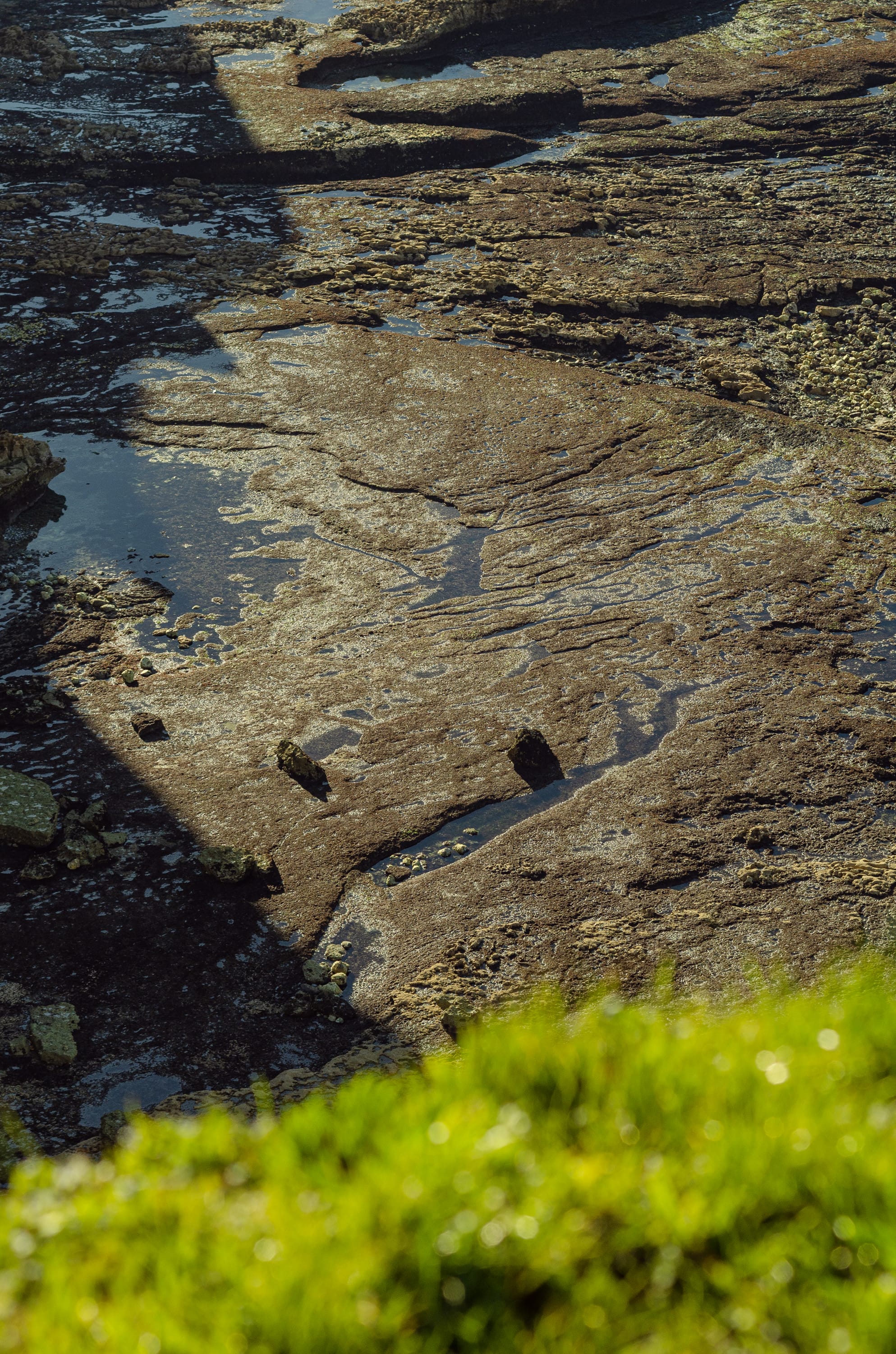 Фото 271 из альбома Le Havre & Etretat 2023