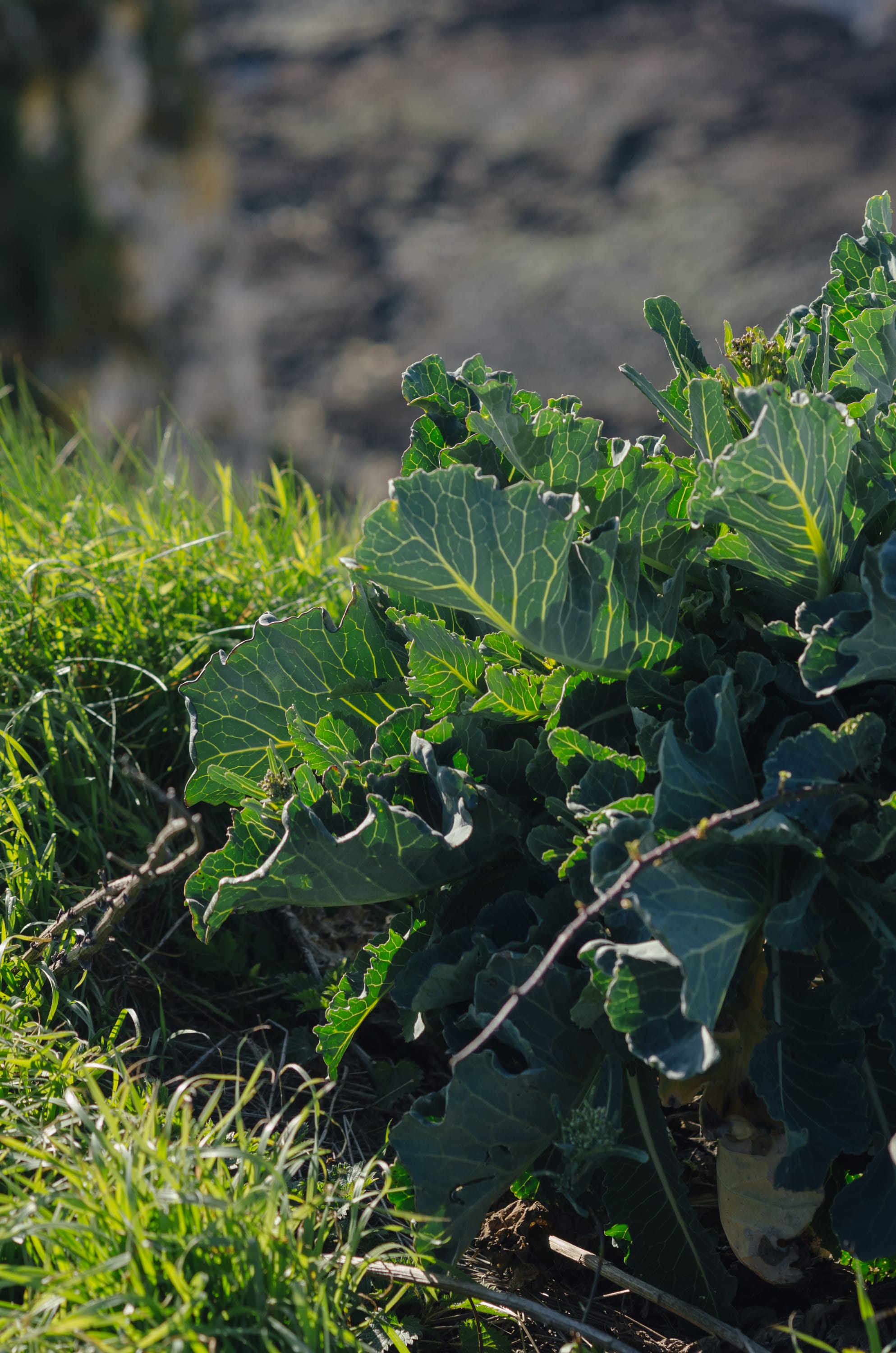 Фото 274 из альбома Le Havre & Etretat 2023