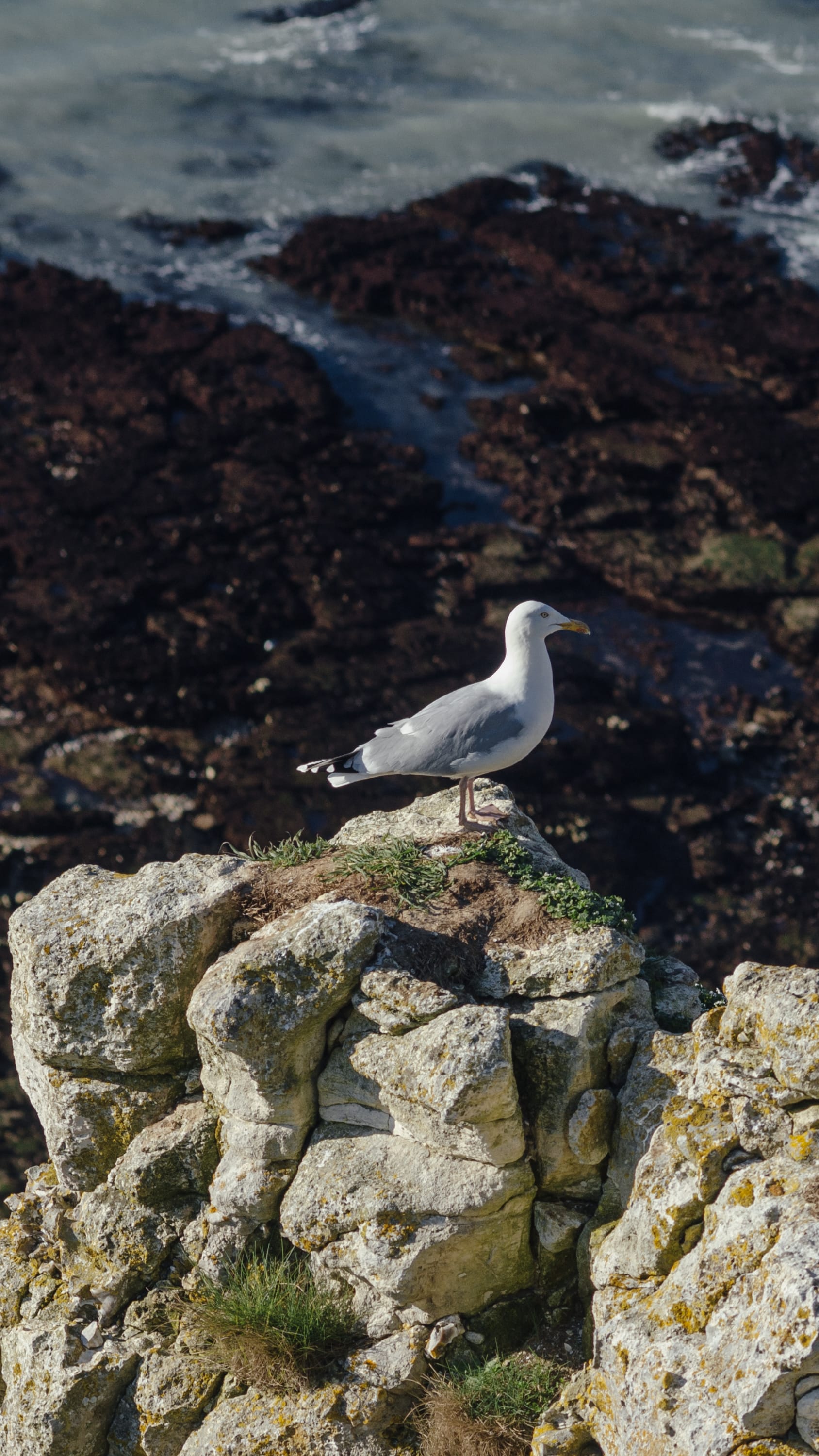 Фото 277 из альбома Le Havre & Etretat 2023