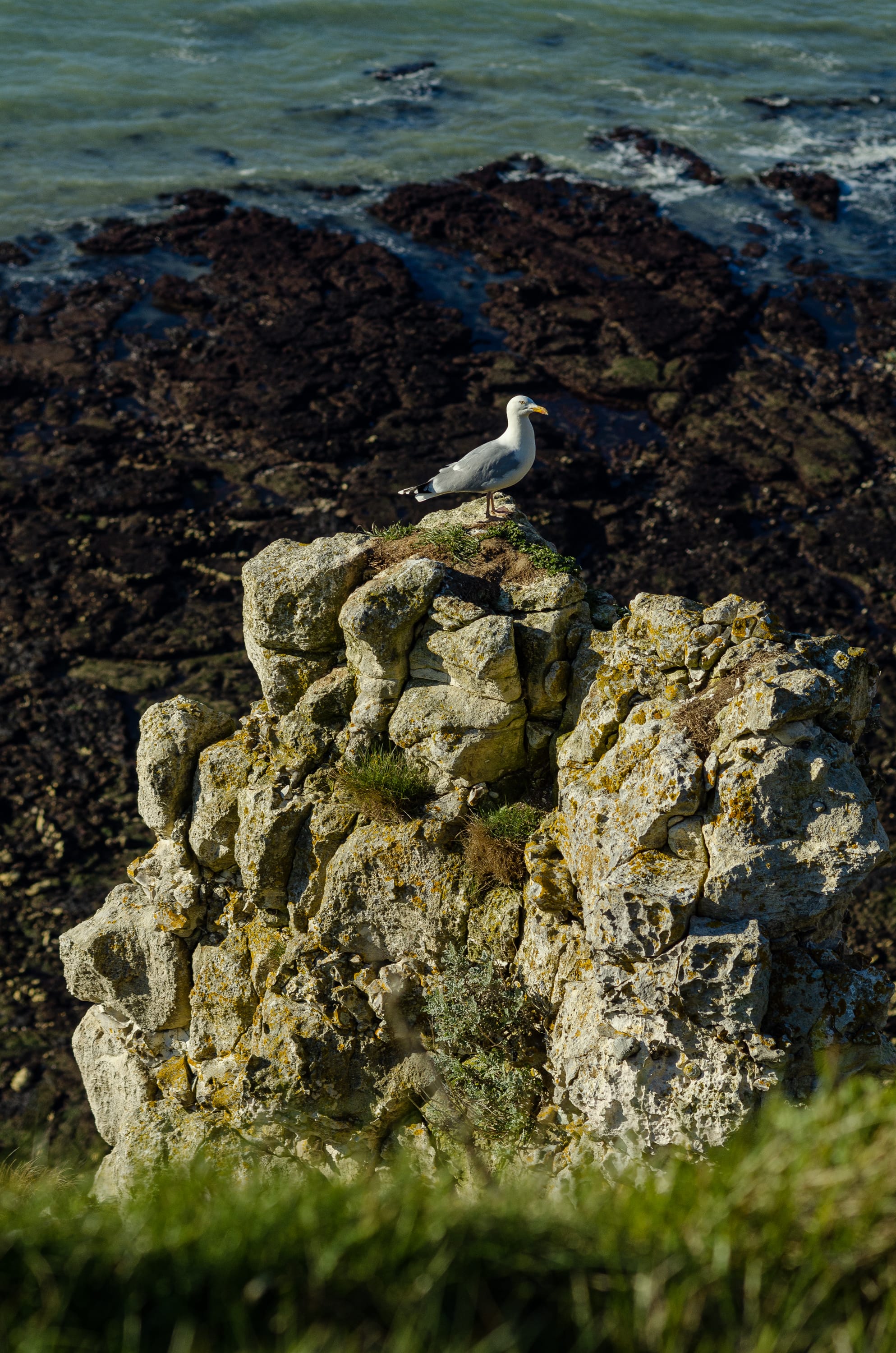 Фото 278 из альбома Le Havre & Etretat 2023