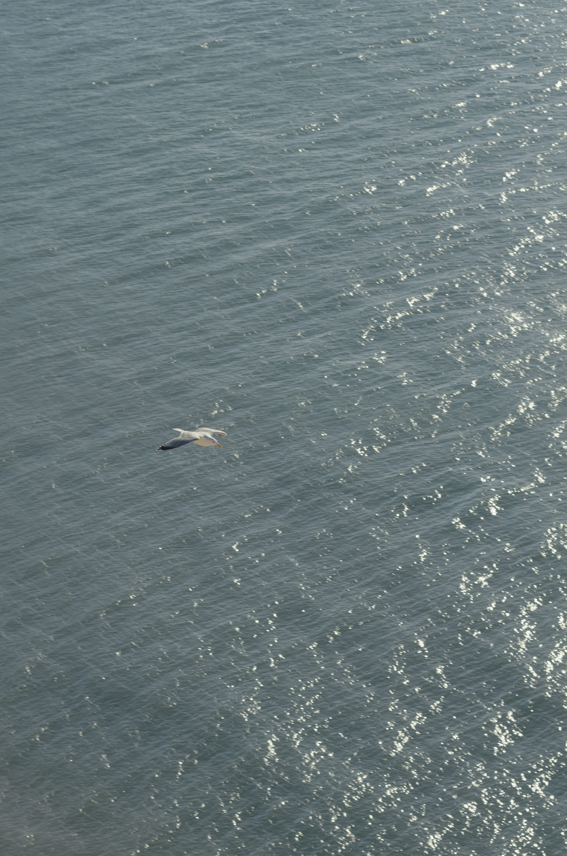 Фото 285 из альбома Le Havre & Etretat 2023