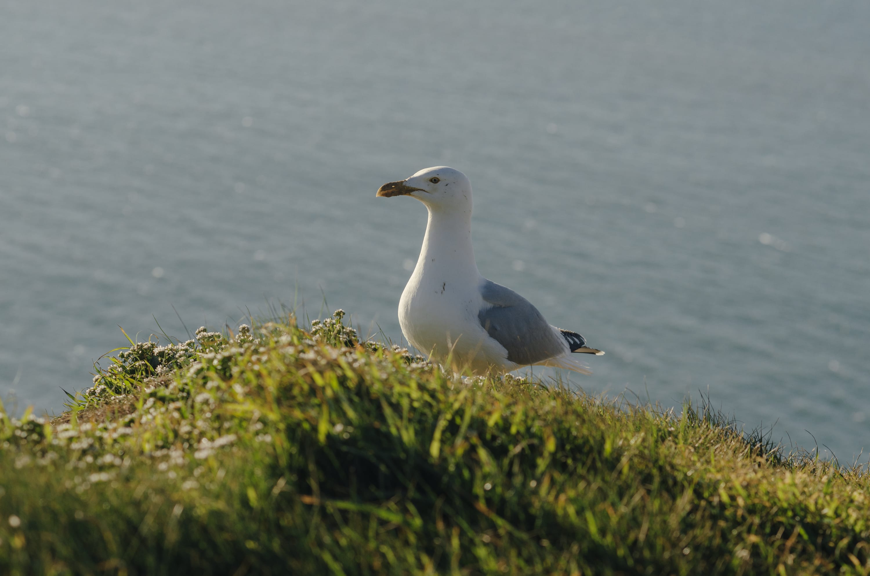Фото 290 из альбома Le Havre & Etretat 2023