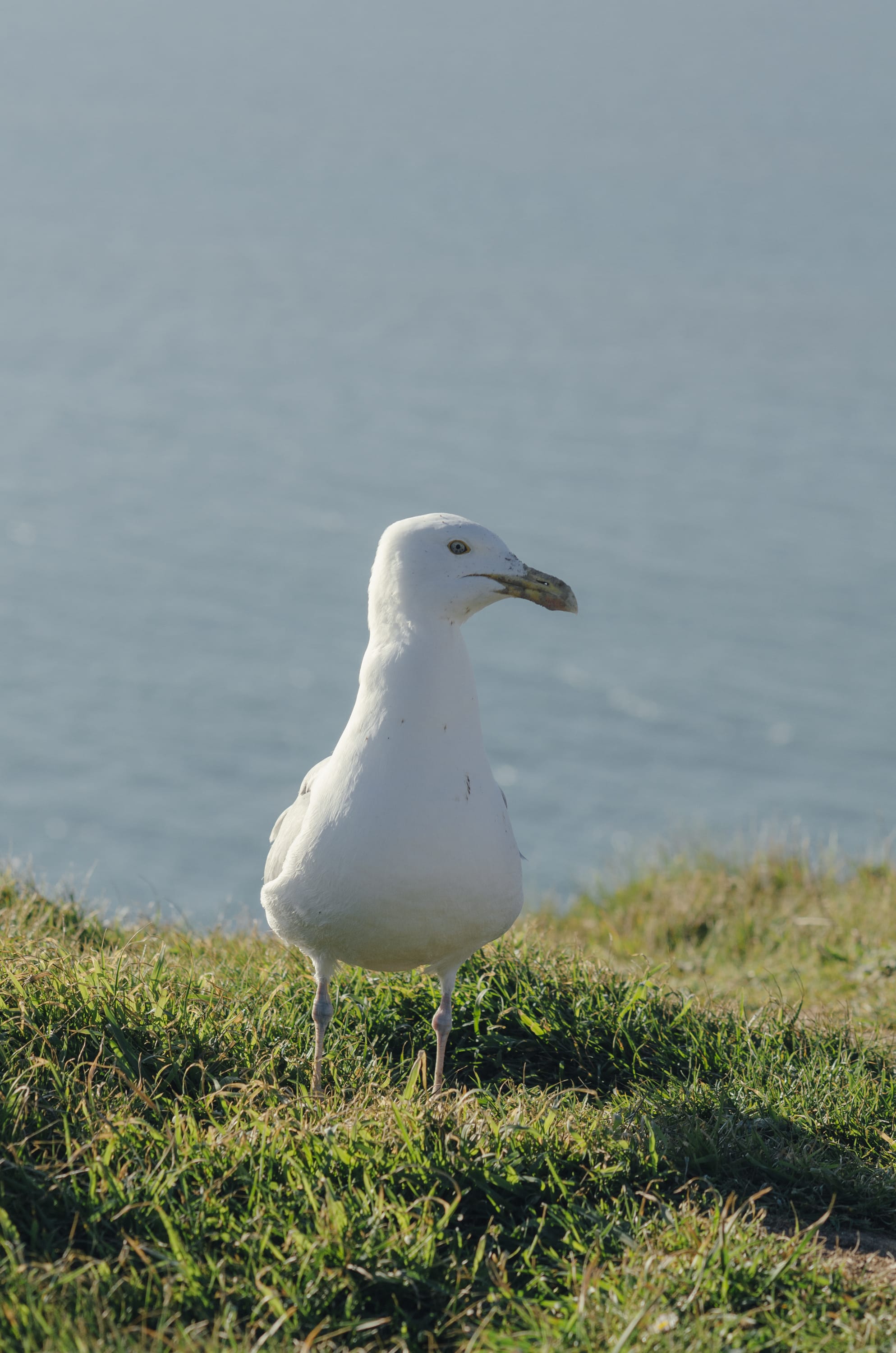 Фото 291 из альбома Le Havre & Etretat 2023