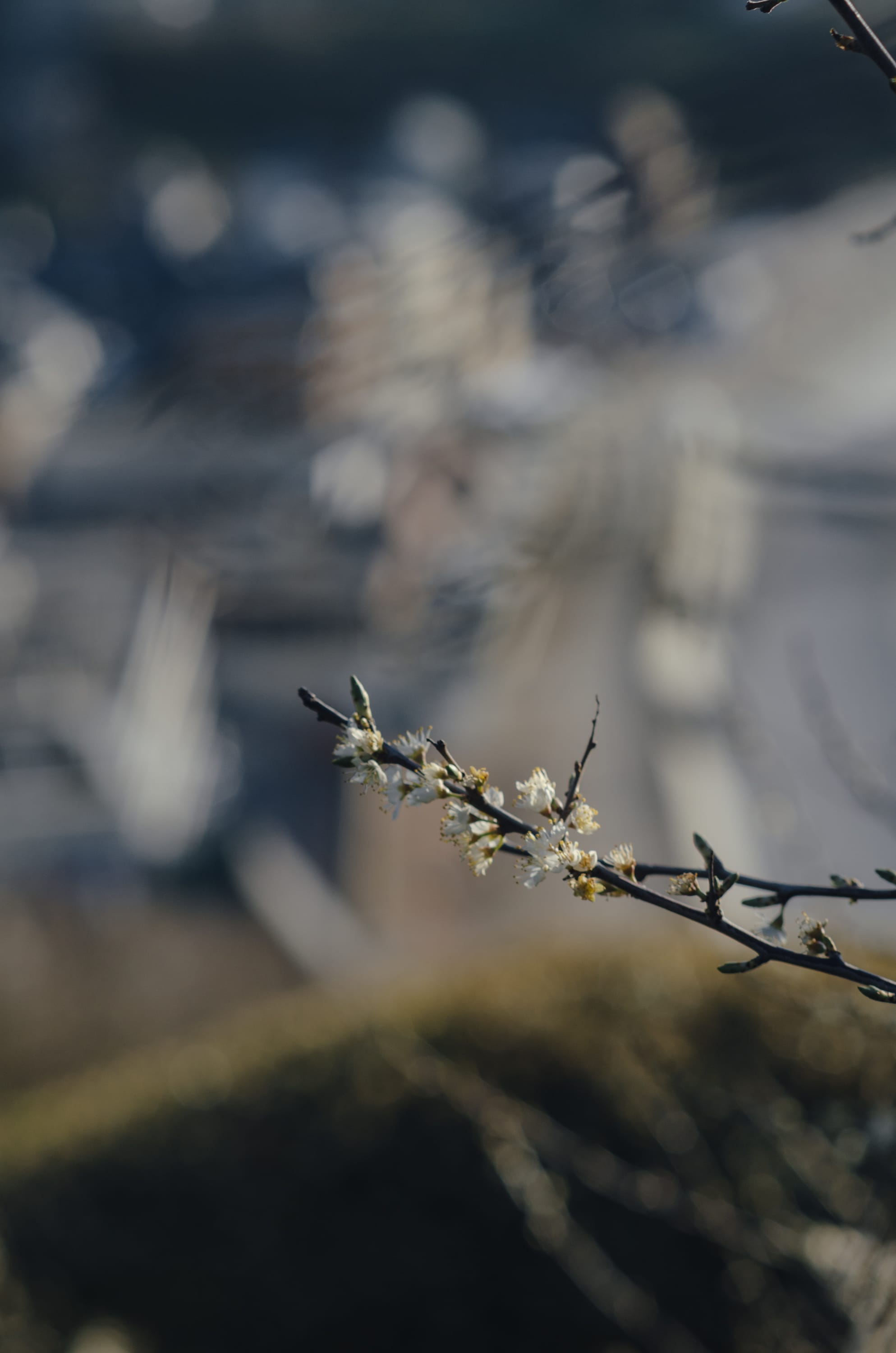 Фото 297 из альбома Le Havre & Etretat 2023