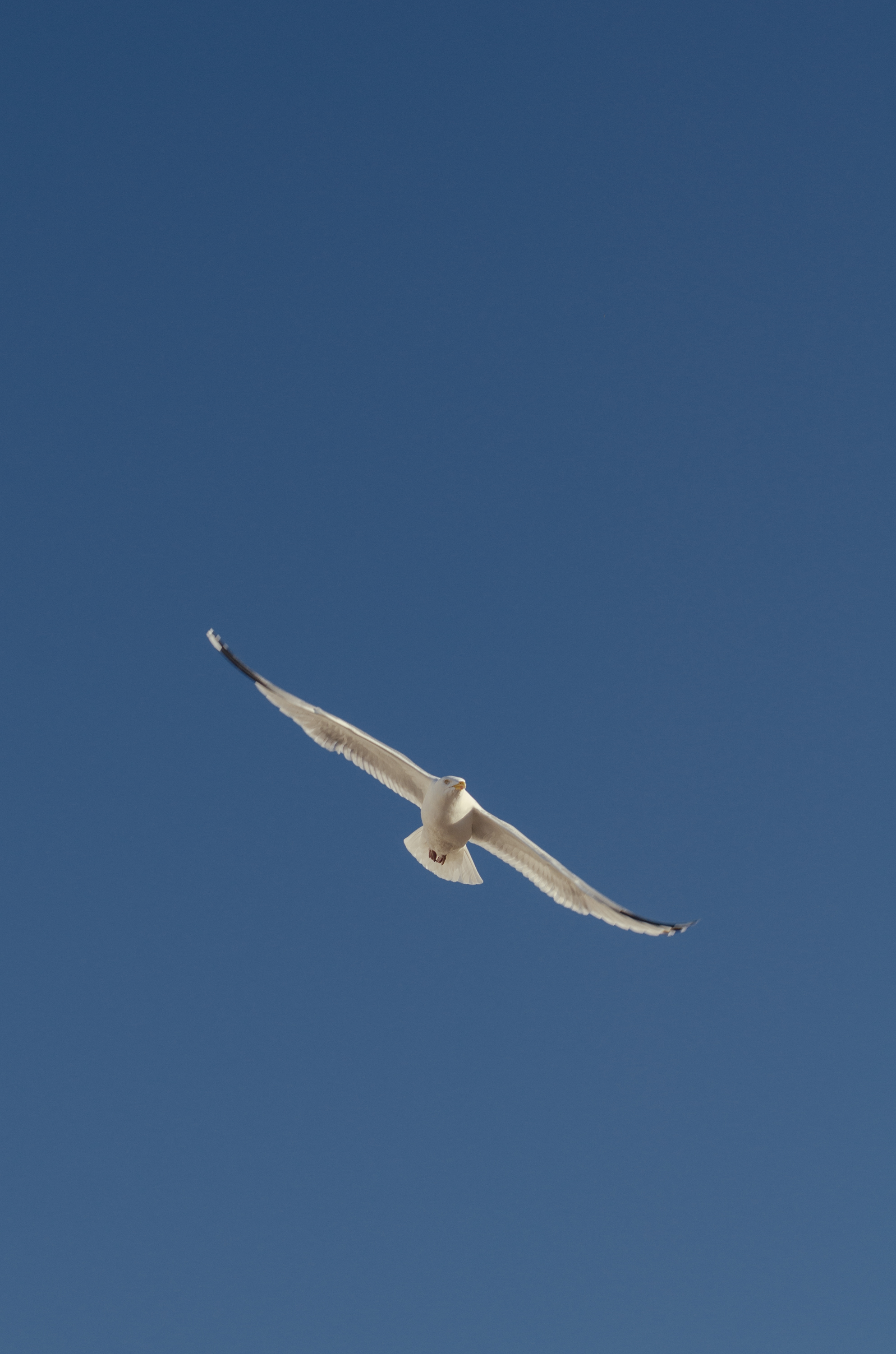 Фото 305 из альбома Le Havre & Etretat 2023