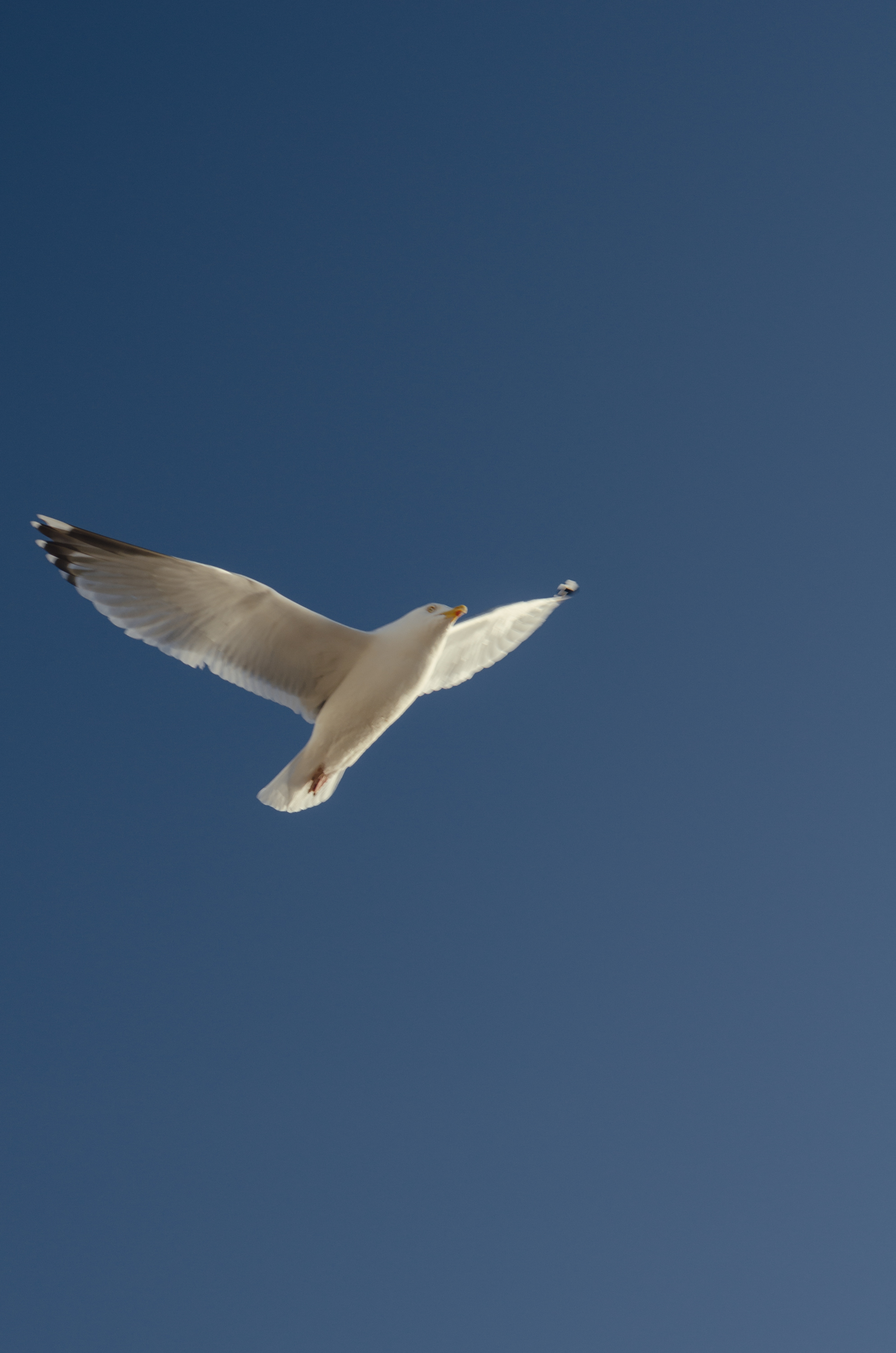 Фото 306 из альбома Le Havre & Etretat 2023