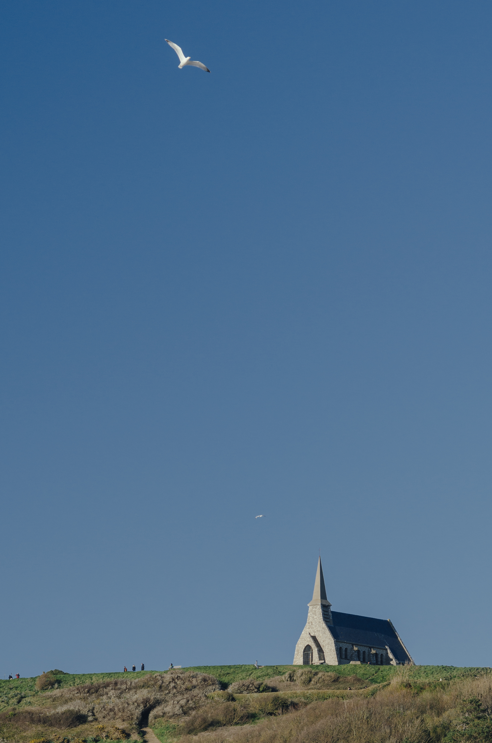 Фото 309 из альбома Le Havre & Etretat 2023